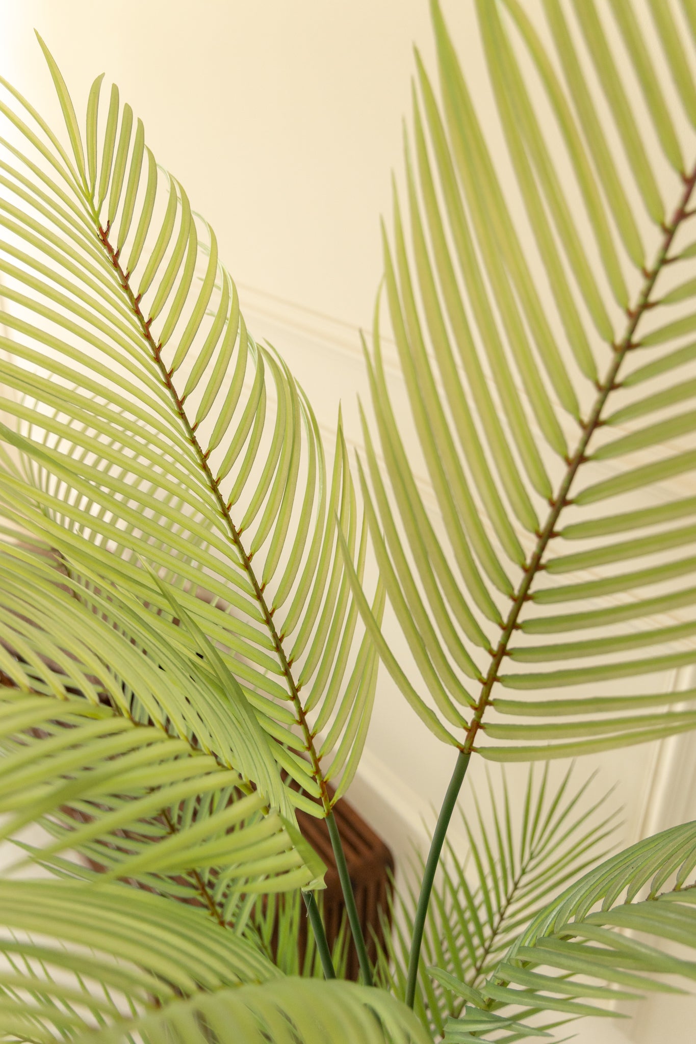 Kunstpalm 120cm