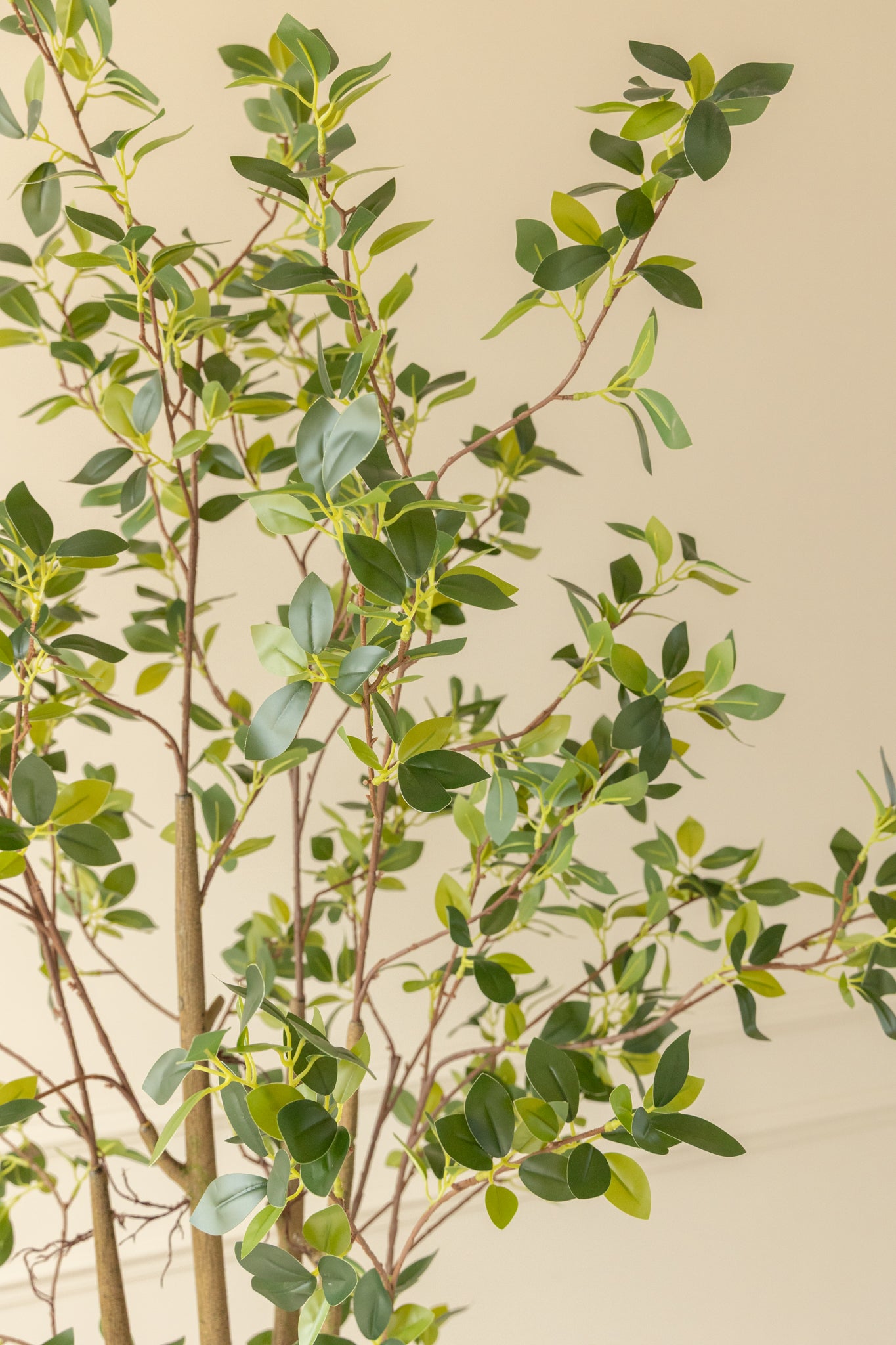 Ficus Kunstplant 180cm