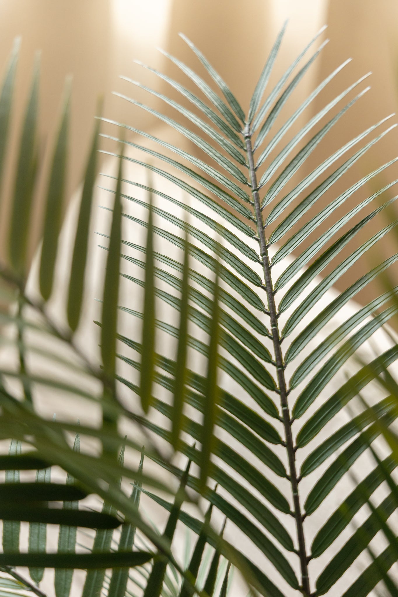 Kunstpalm 150cm
