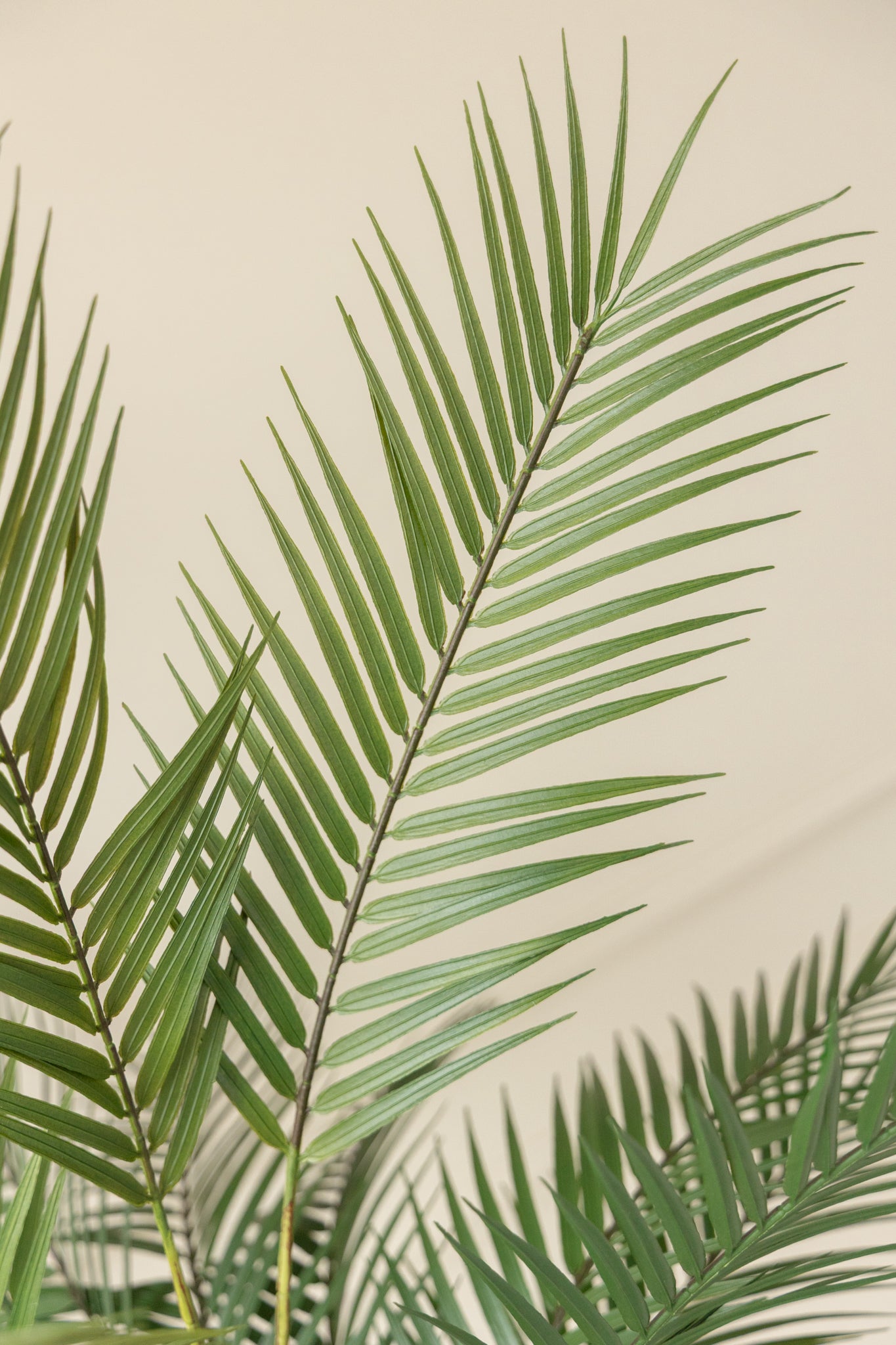 Kunstpalm 150cm