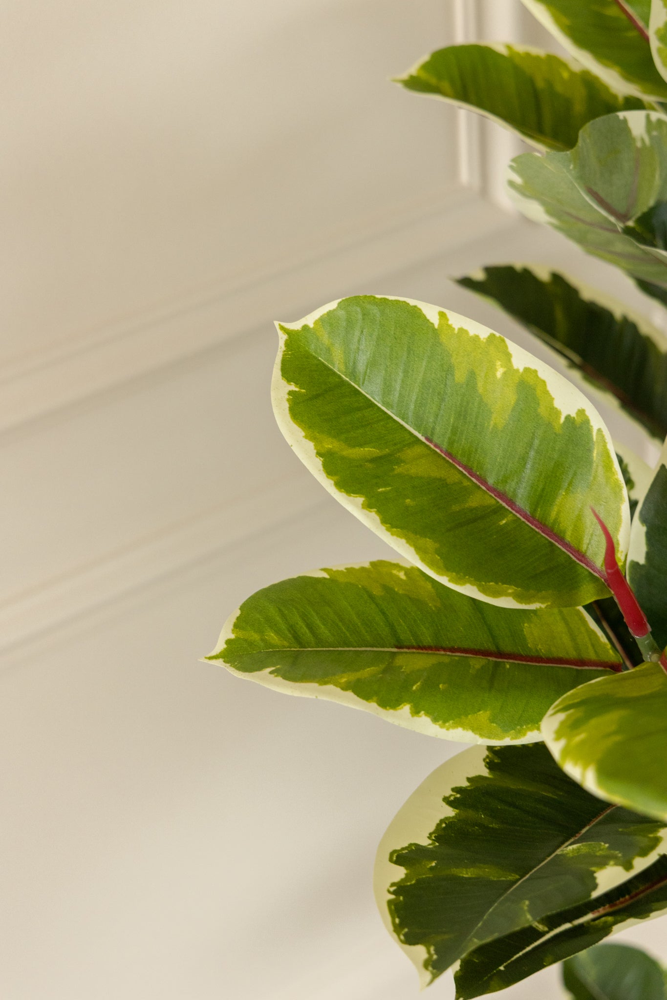 Ficus Kunstplant 120cm