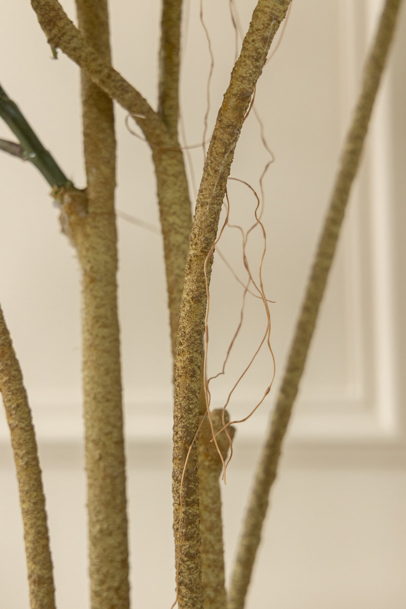 Ficus Kunstplant 120cm