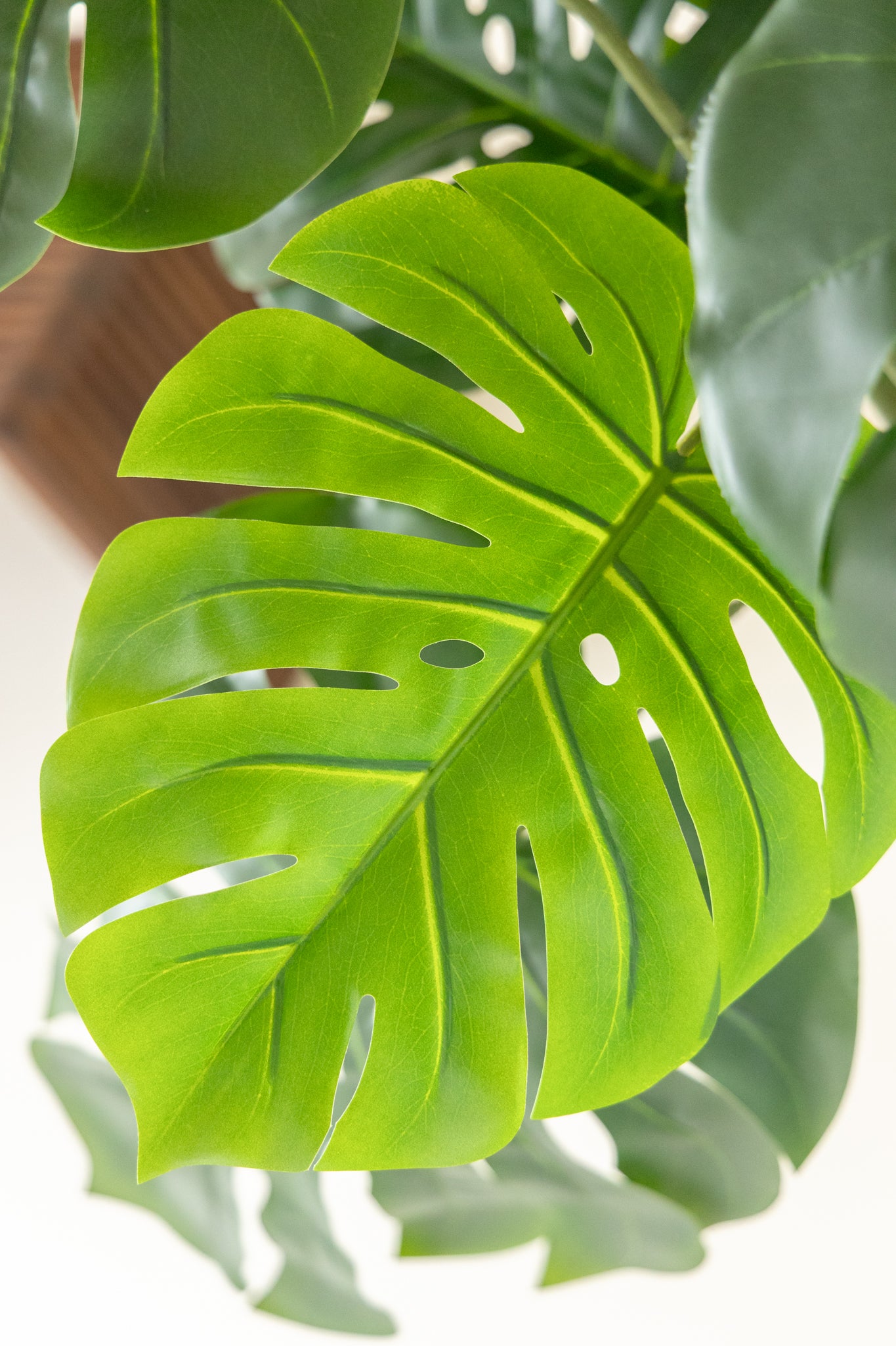 Monstera Kunstplant 145cm