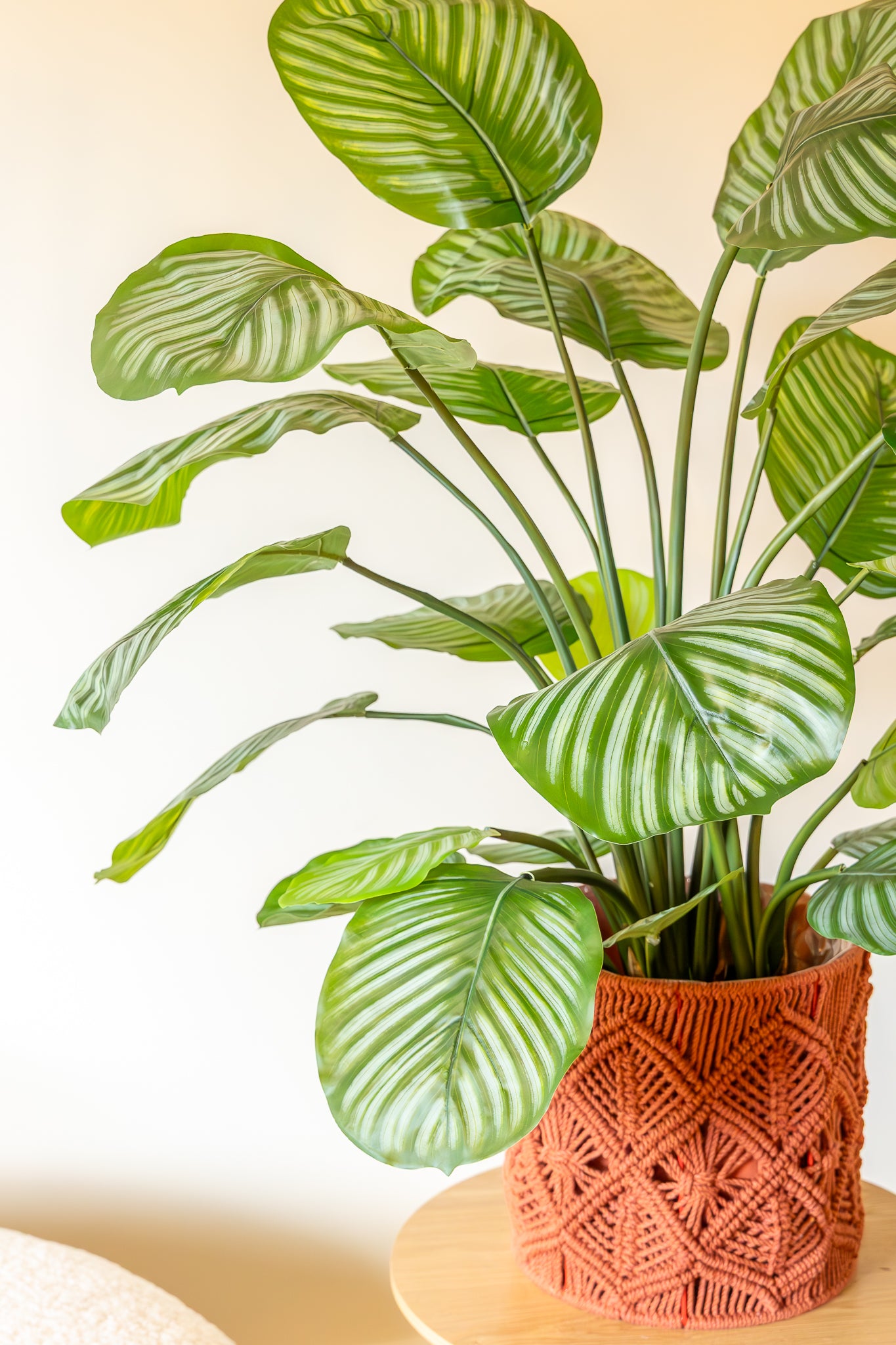 calathea kunstplant 80cm sfeer