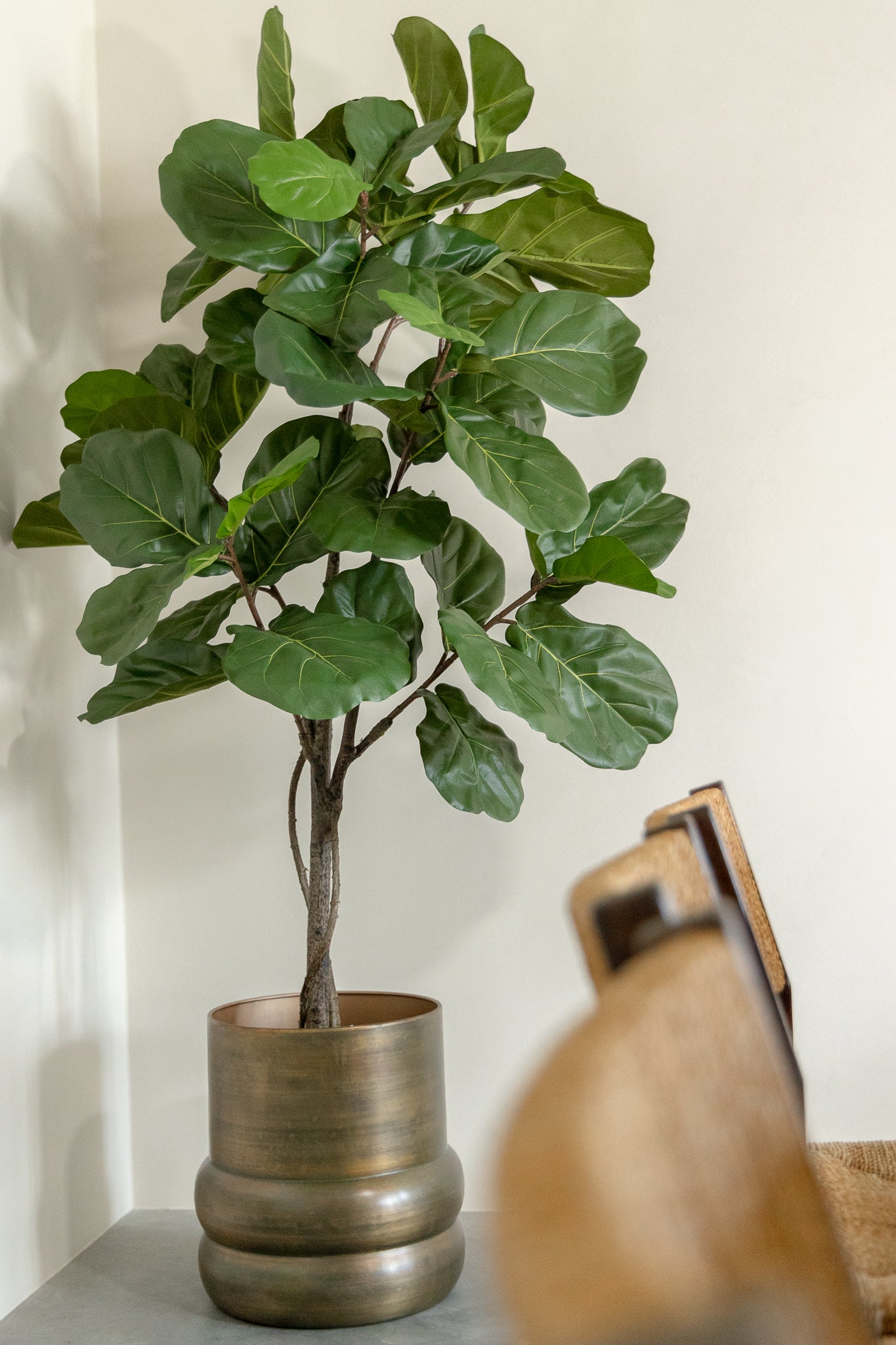 Pre-order Ficus Lyrata Kunstplant 180cm (midden mei)