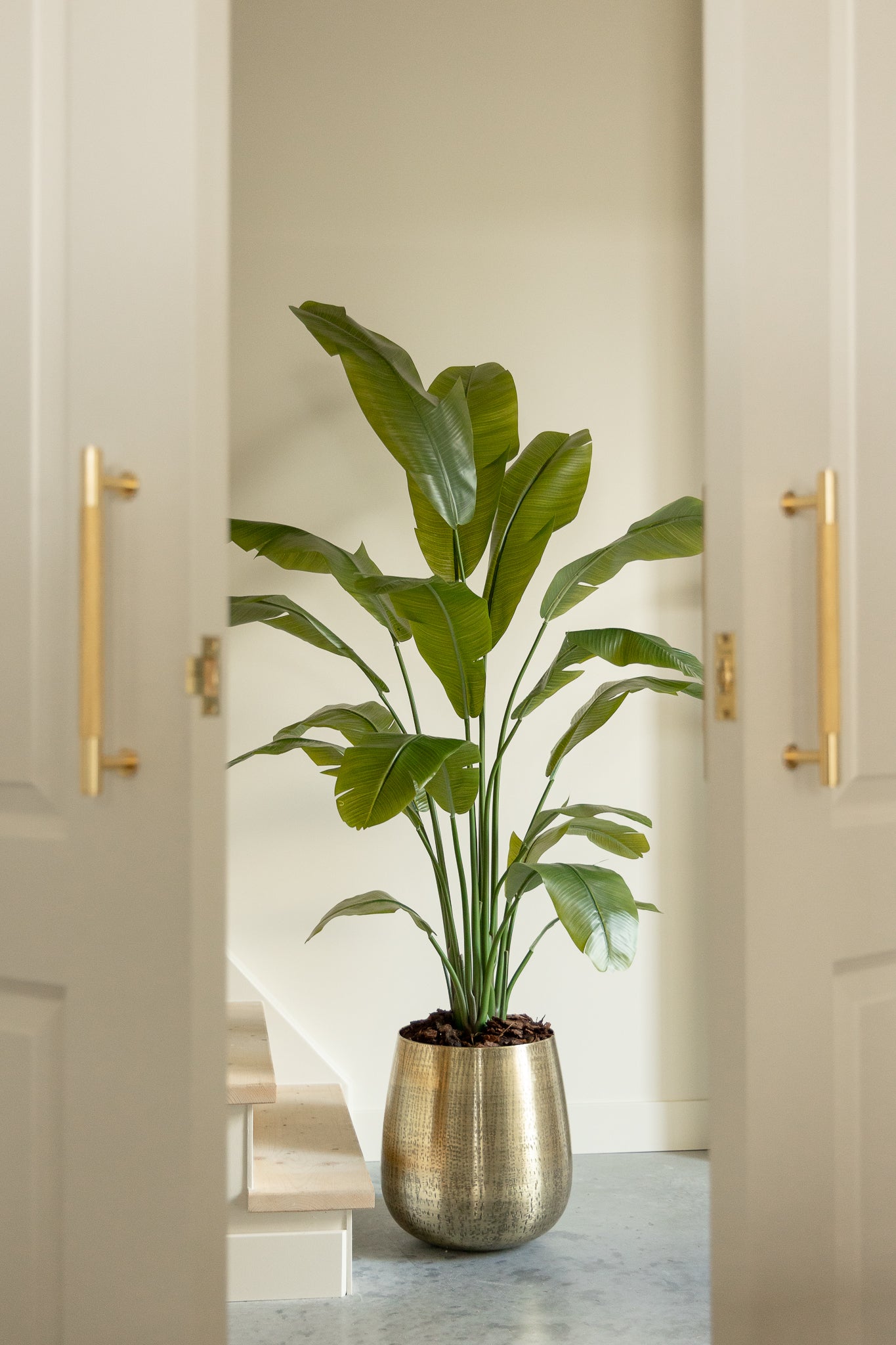 Strelitzia Kunstplant 180cm Deluxe