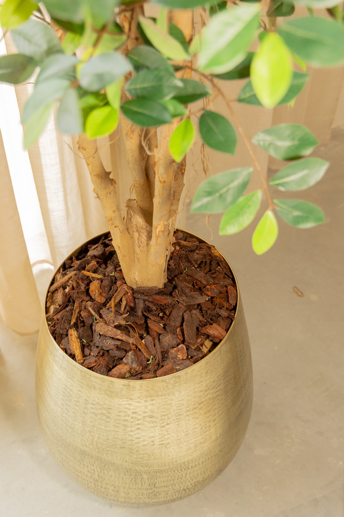 Ficus Kunstplant 180cm