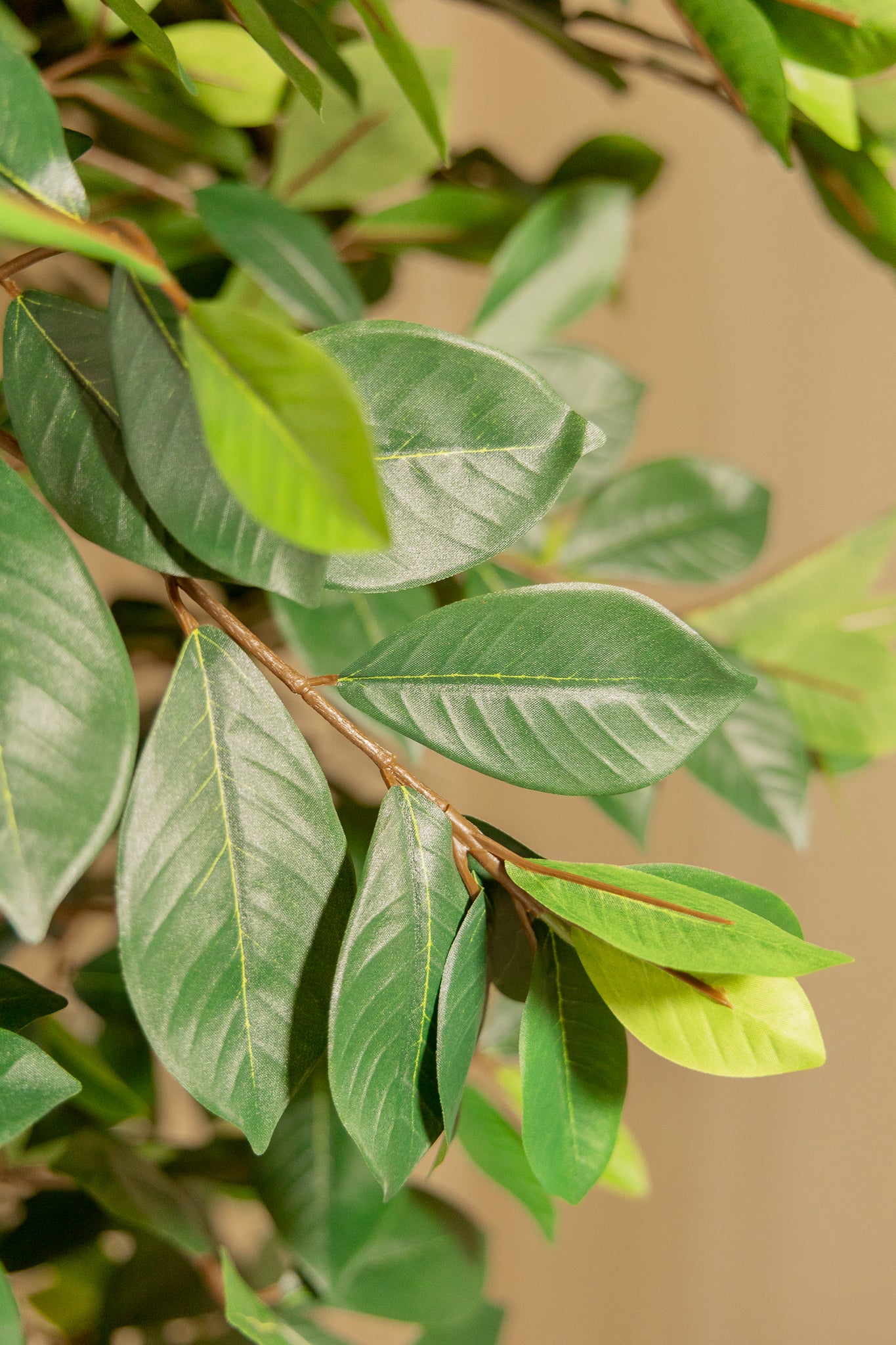 Ficus Kunstplant 180cm
