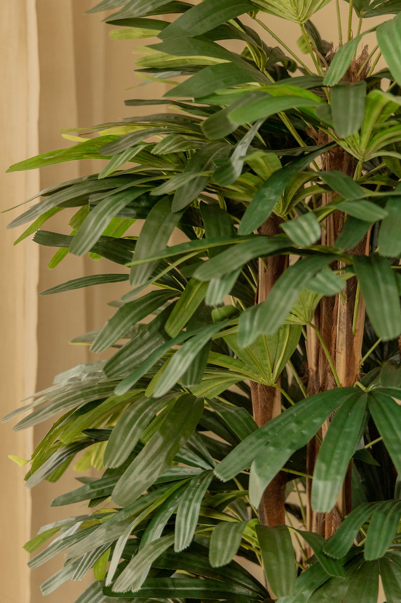 Raphis Kunstpalm 180cm