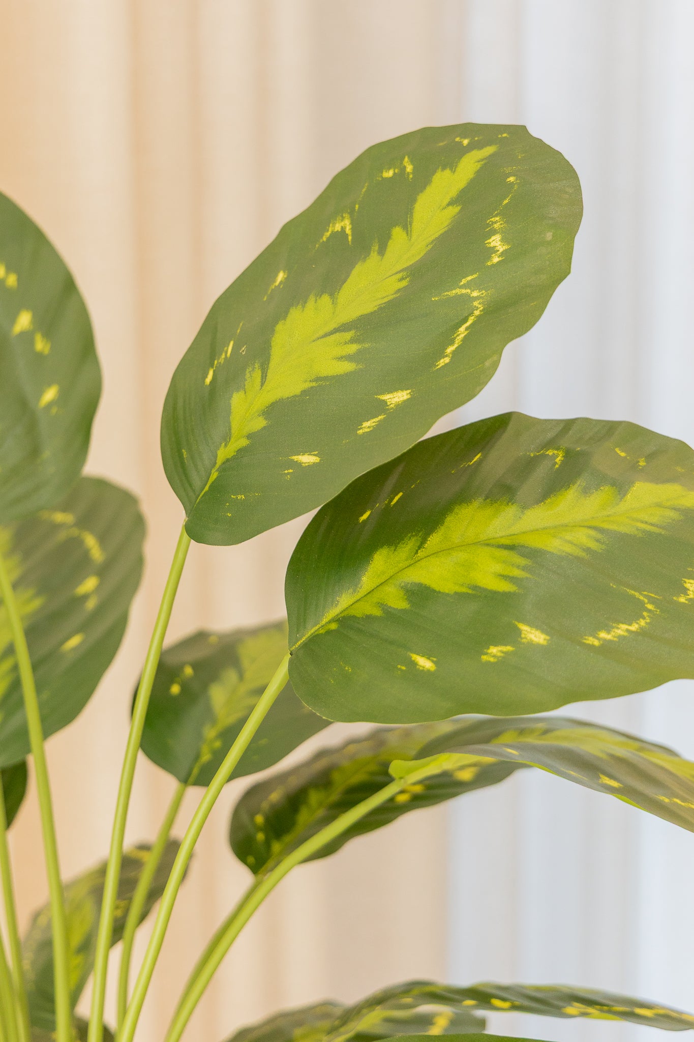 Calathea Kunstplant 70cm