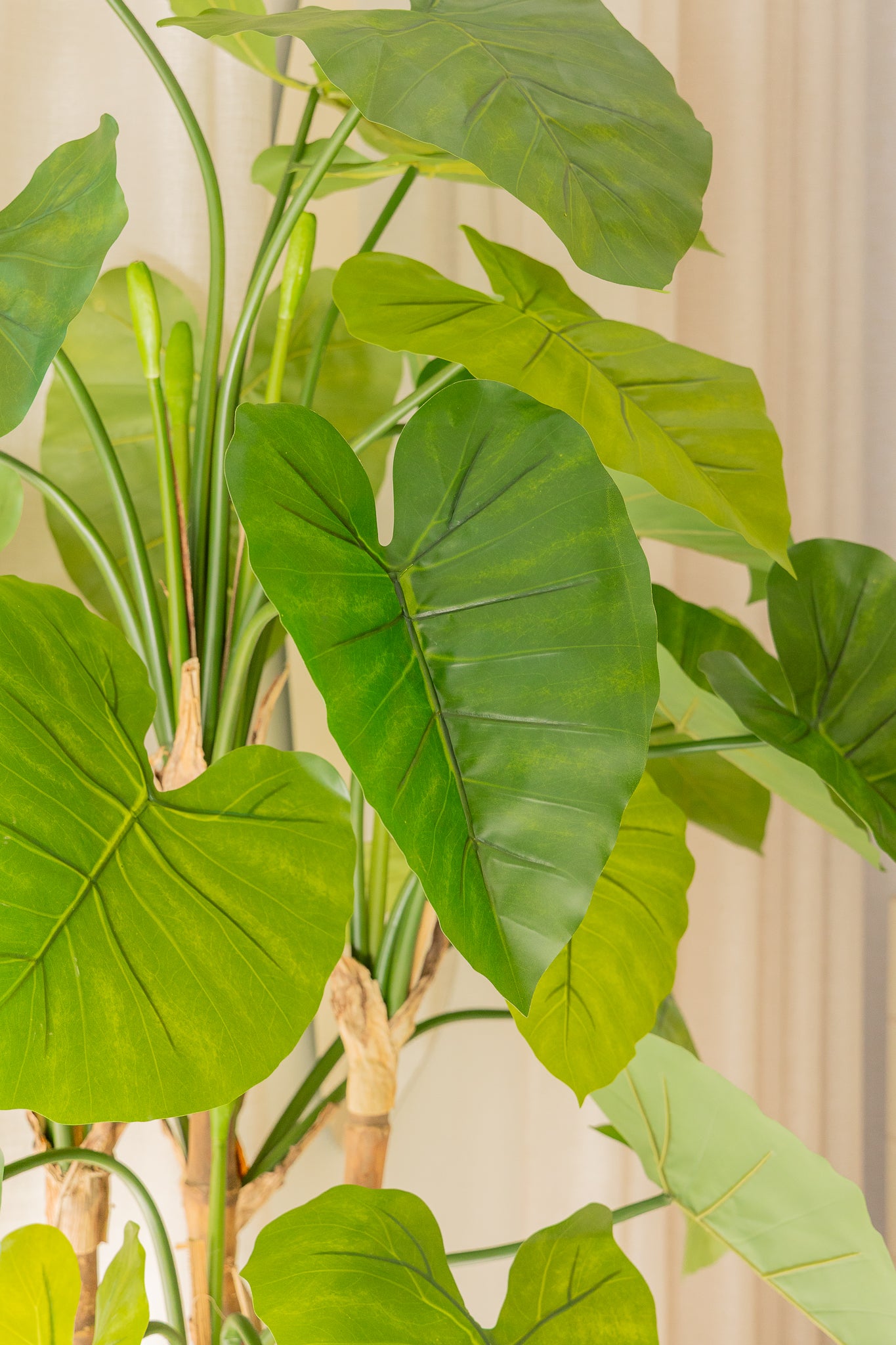 Alocasia Kunstplant 165cm