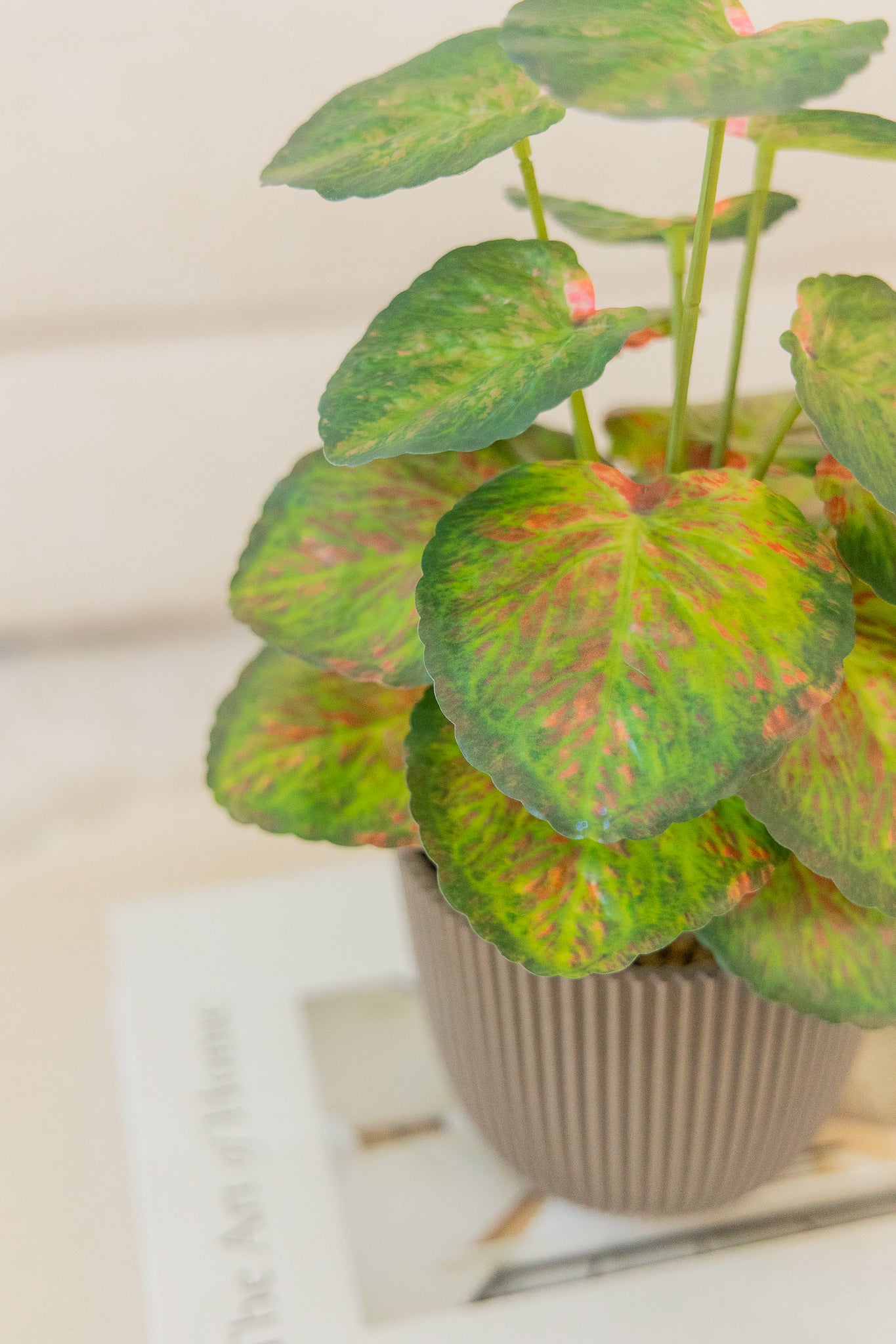 Taro Kunstplant 32cm