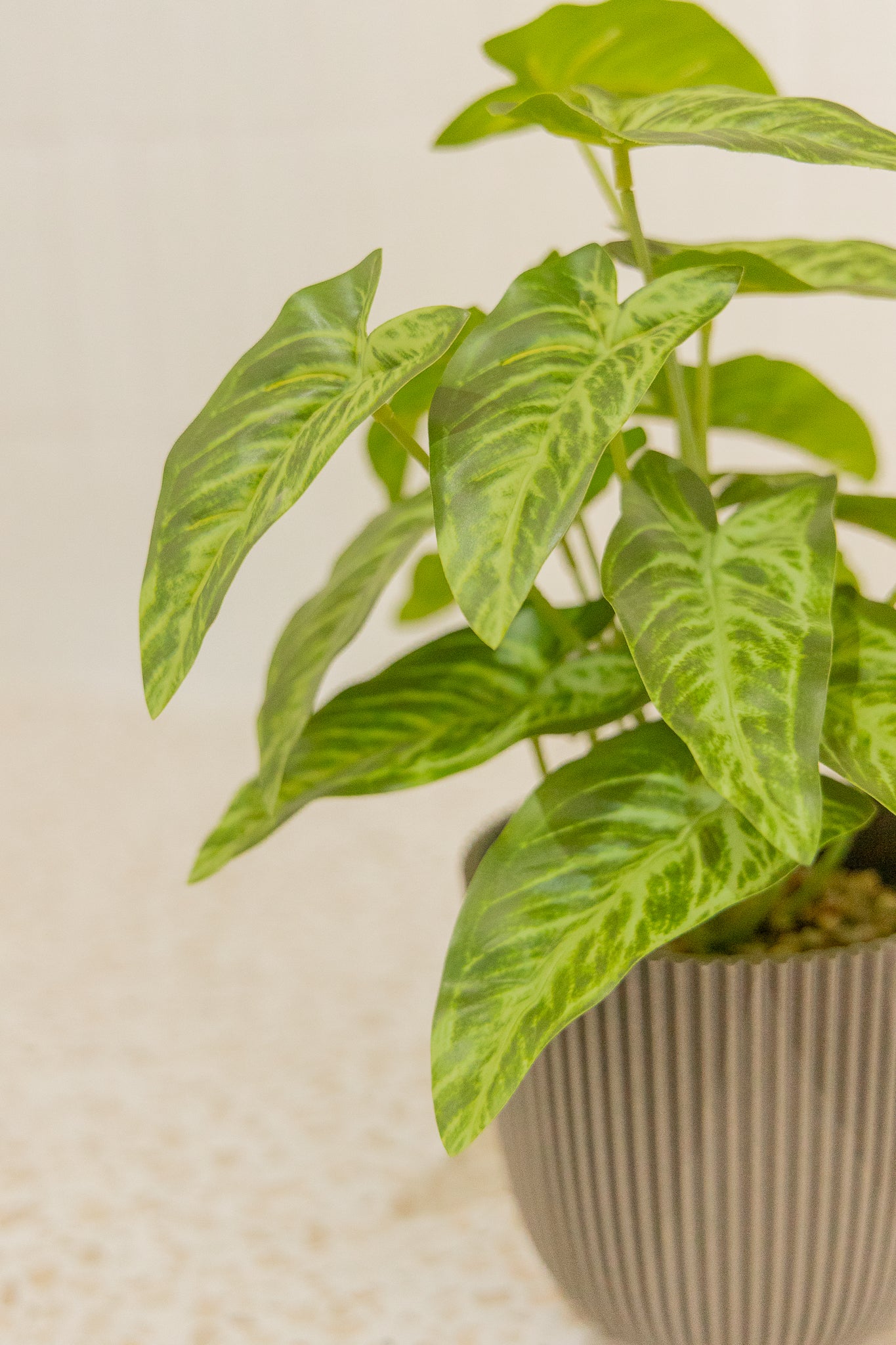 Philodendron Kunstplant 32cm