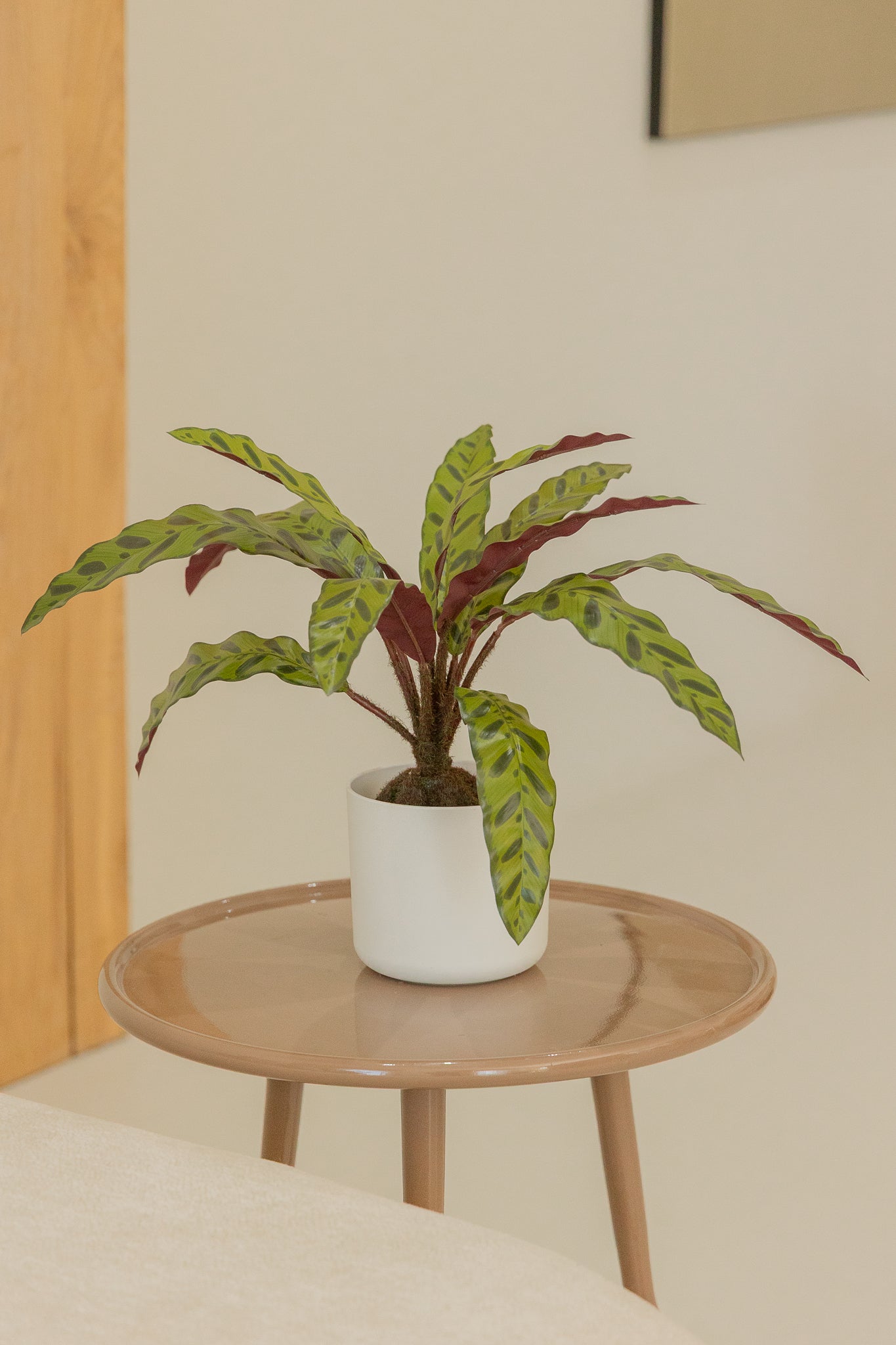 Calathea Kunstplant 45cm
