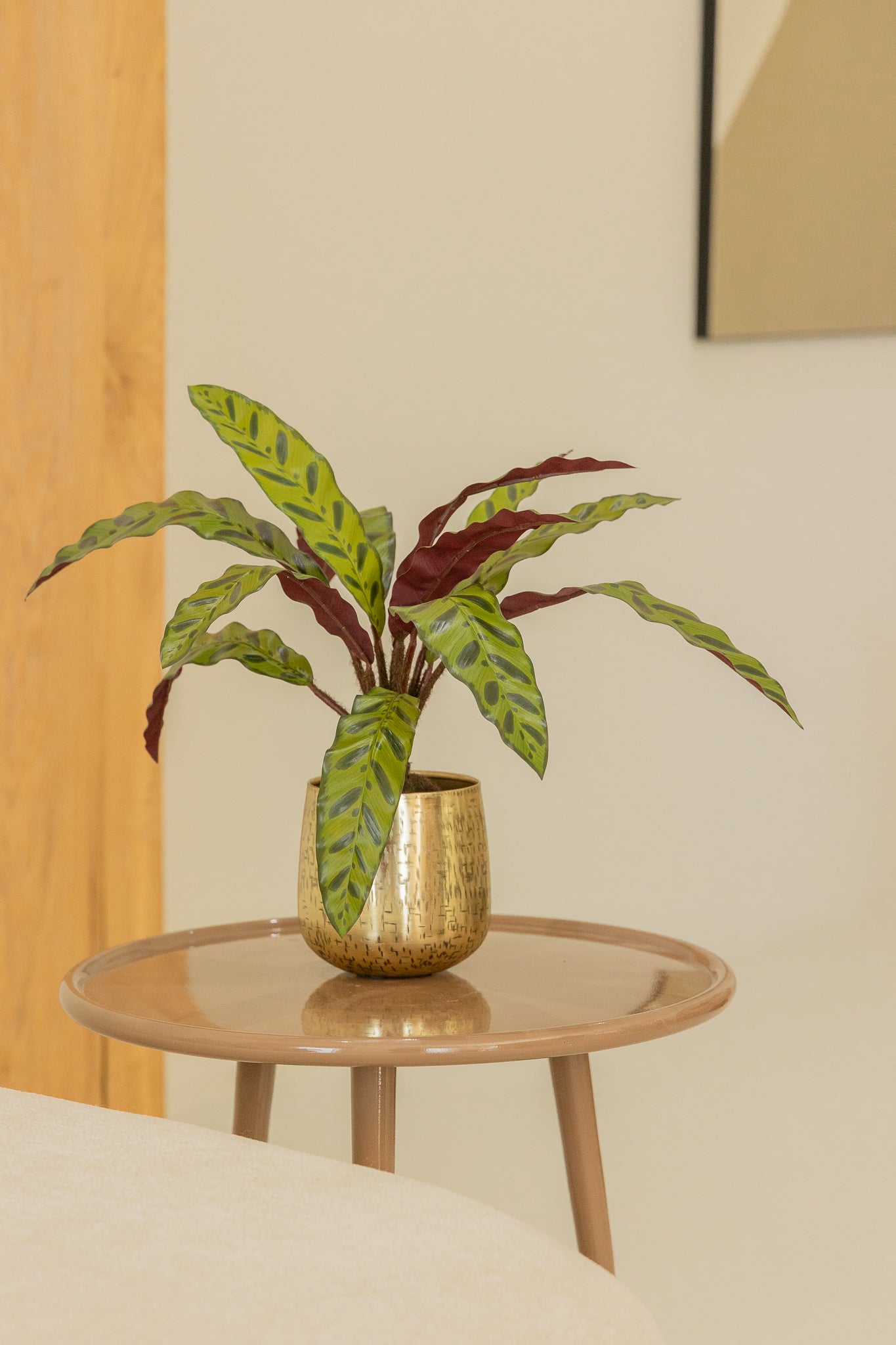 Calathea Kunstplant 45cm