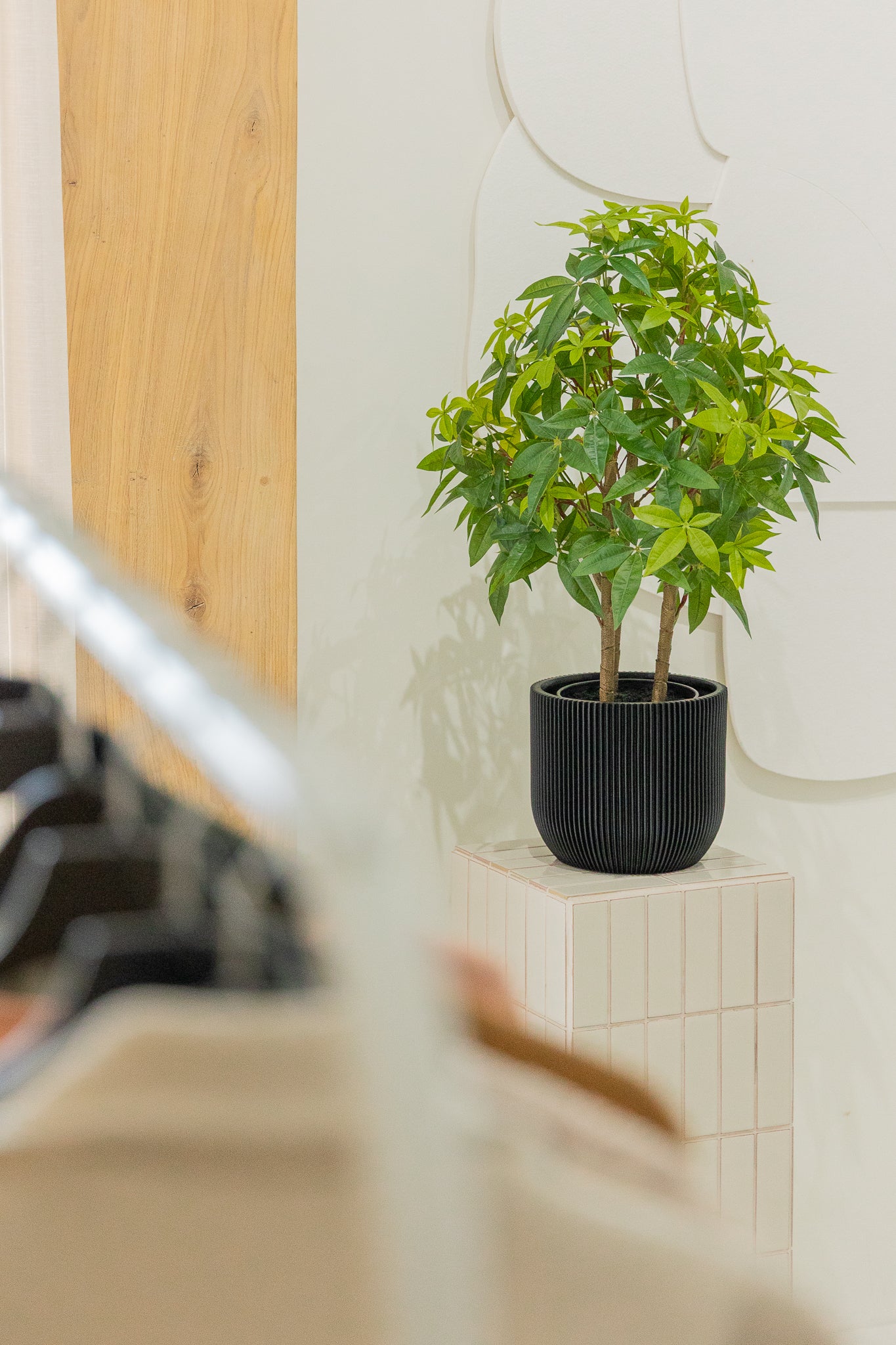 Pachira Kunstplant 70cm