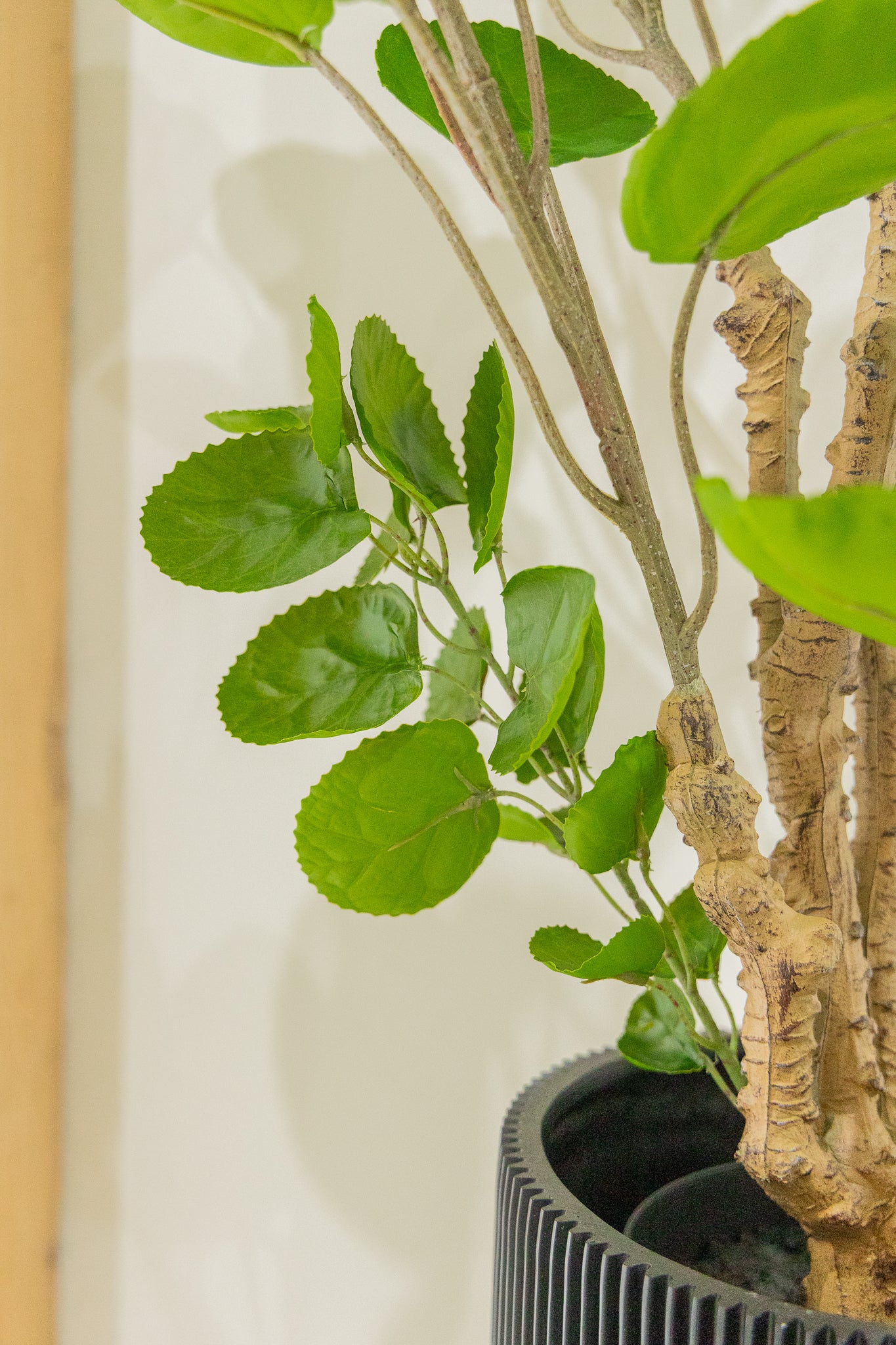 Polyscias Kunstplant 110cm