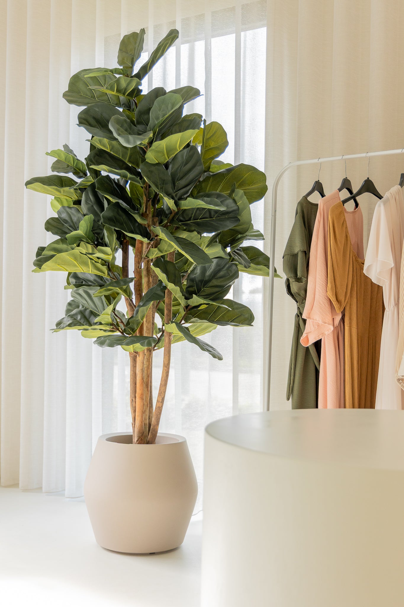 Ficus Kunstplant 180cm