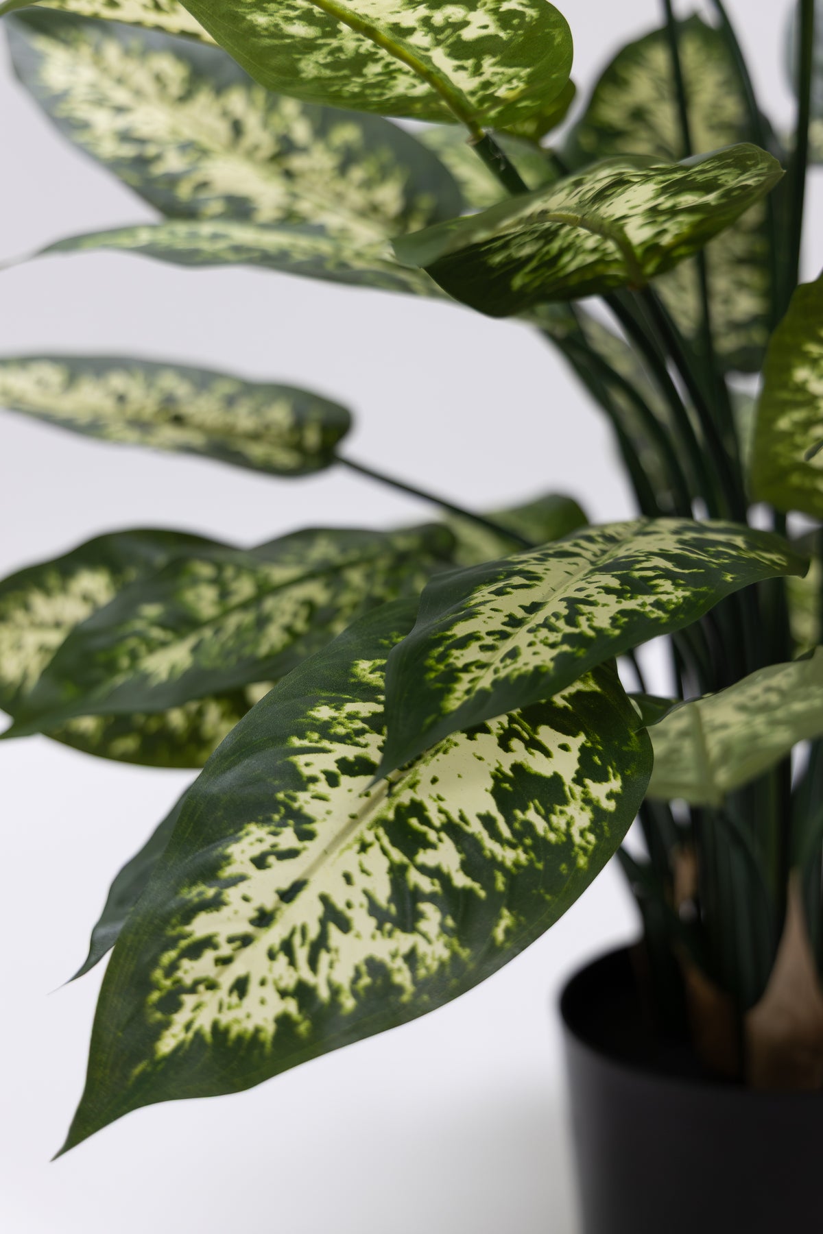 Dieffenbachia Kunstplant 70cm