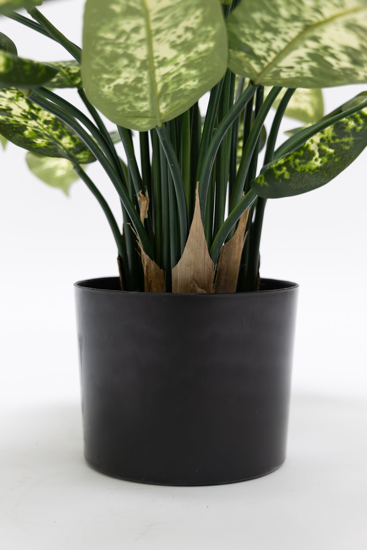 Dieffenbachia Kunstplant 70cm