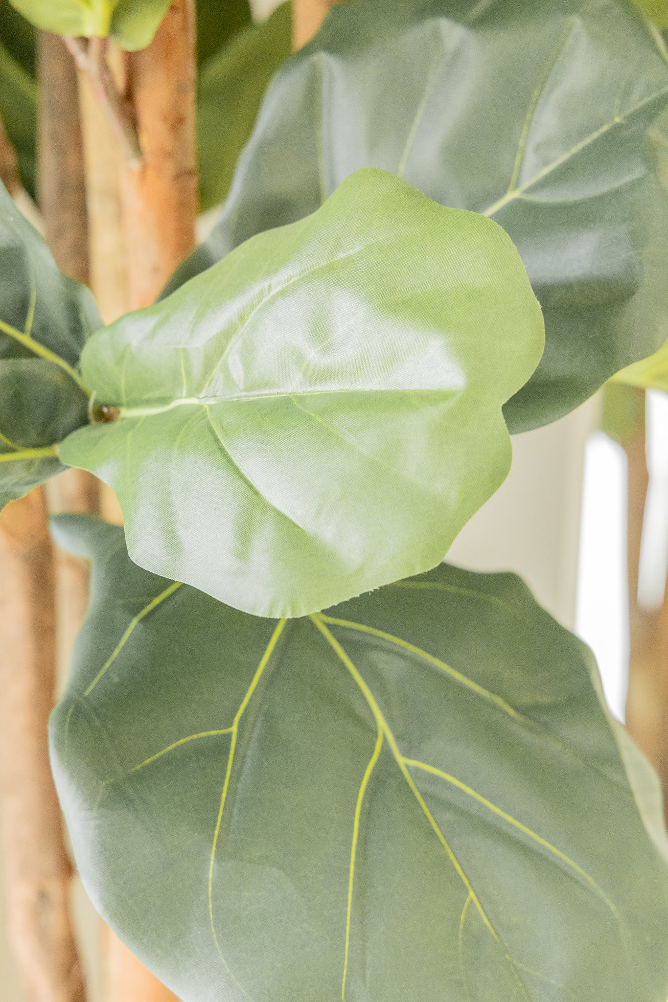 Ficus Kunstplant 180cm