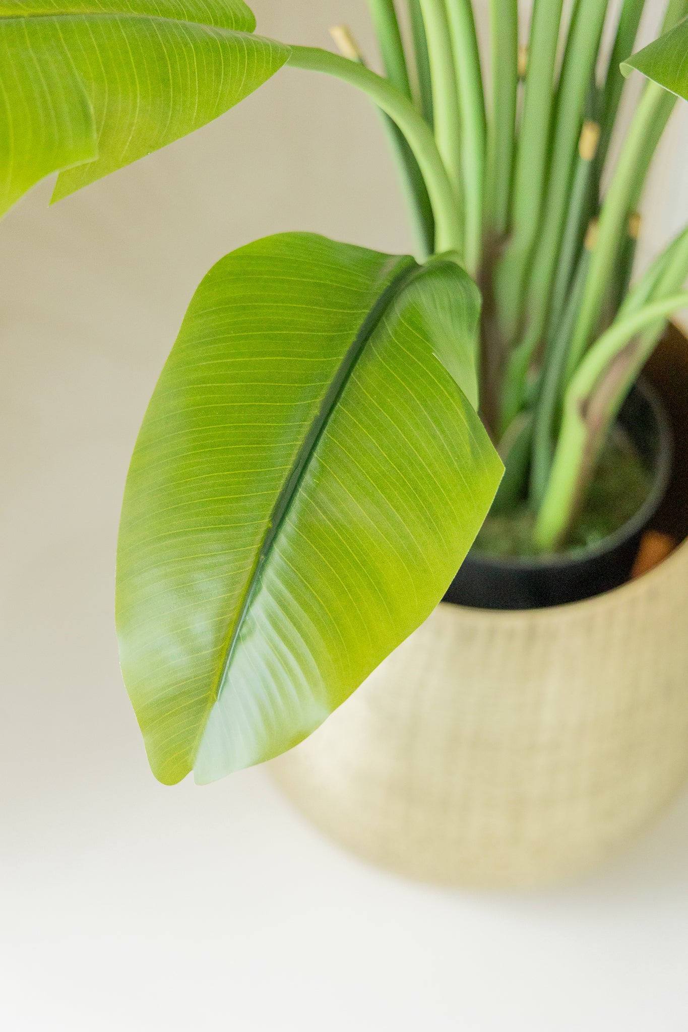 Strelitzia Kunstplant 210cm