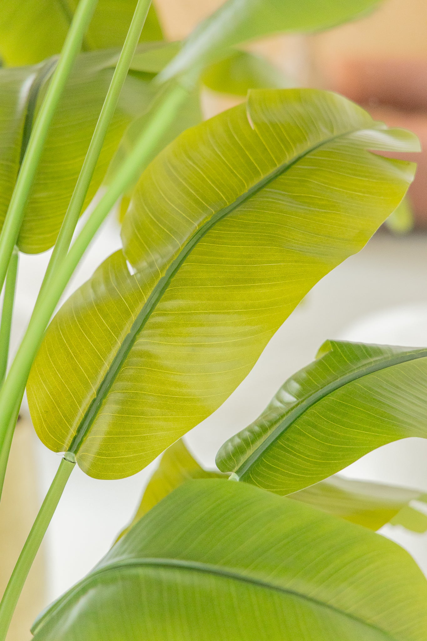 Strelitzia Kunstplant 165cm