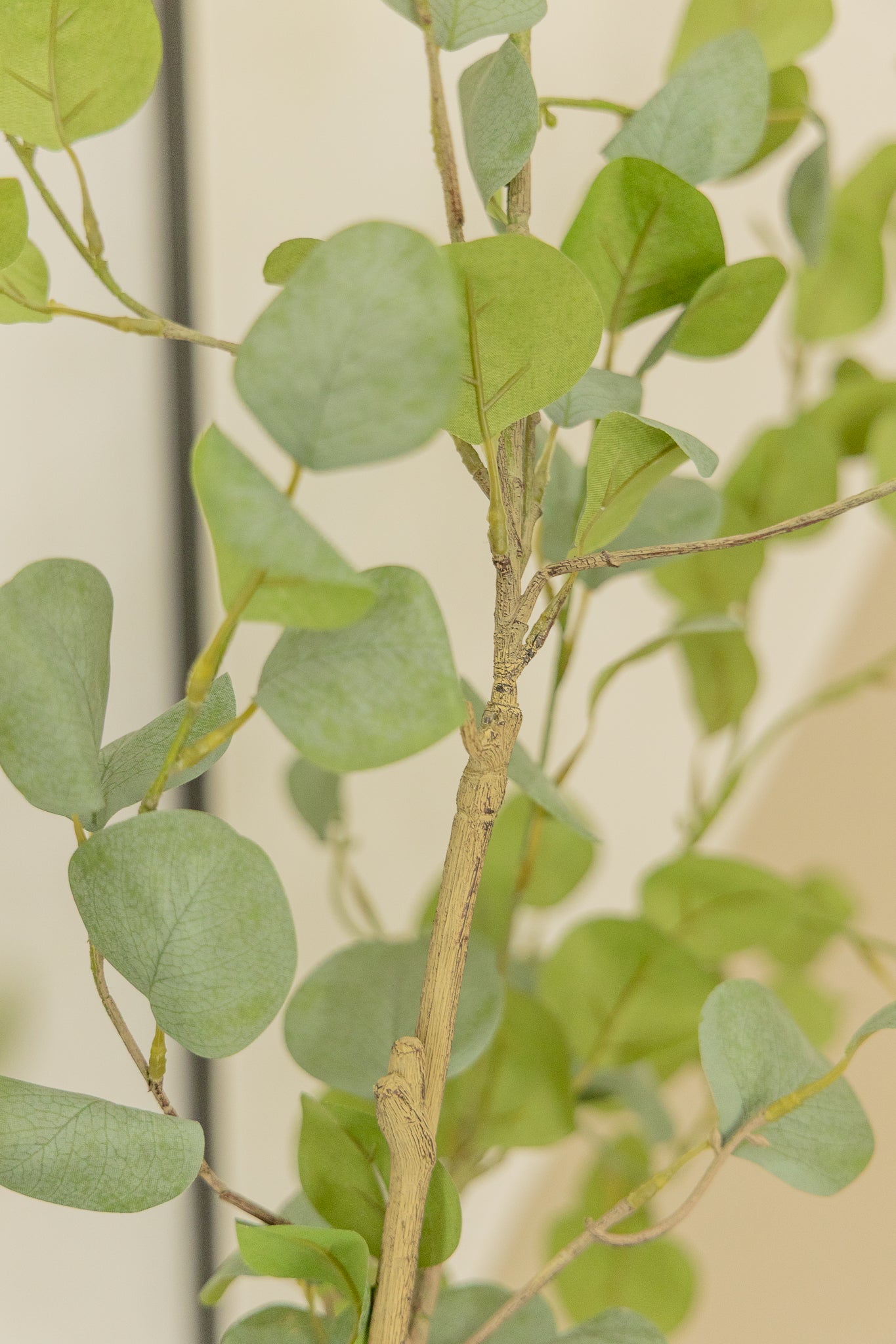 Eucalyptus Kunstplant 210cm