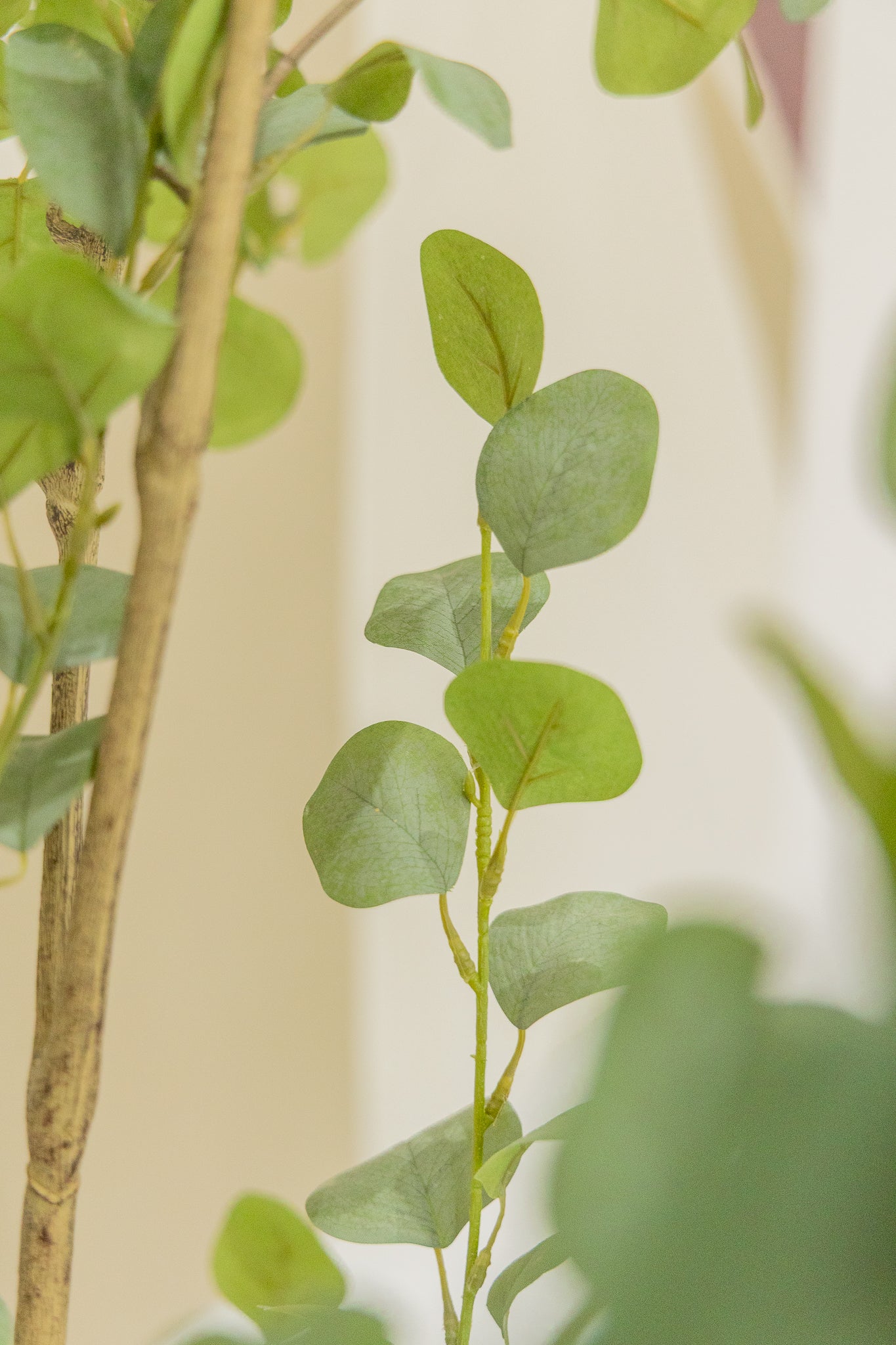 Eucalyptus Kunstplant 210cm