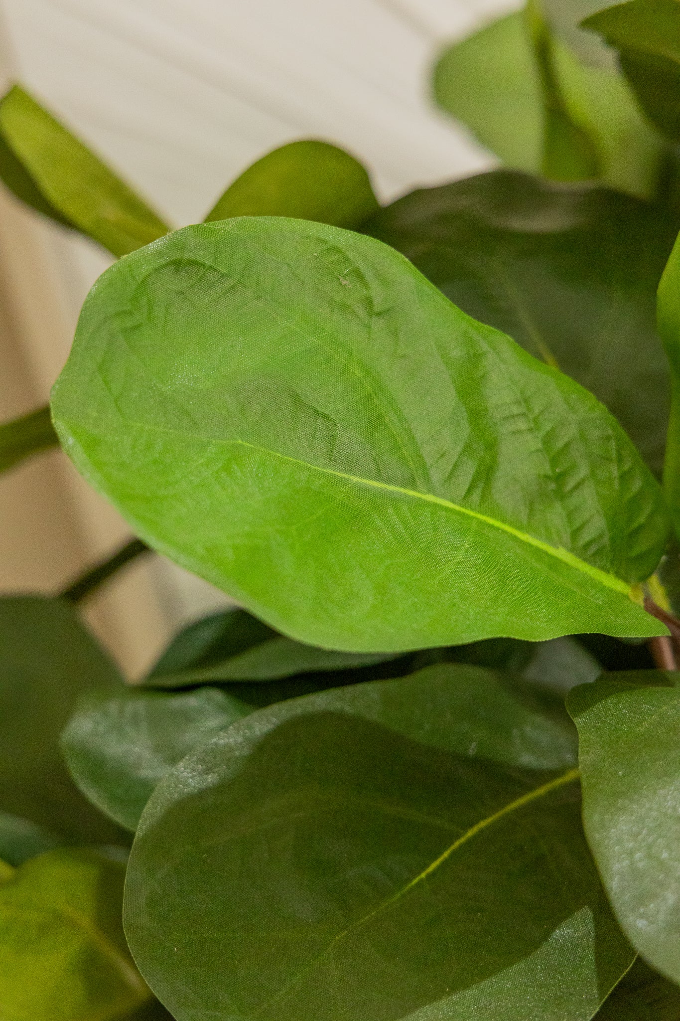 Ficus Kunstplant 120cm