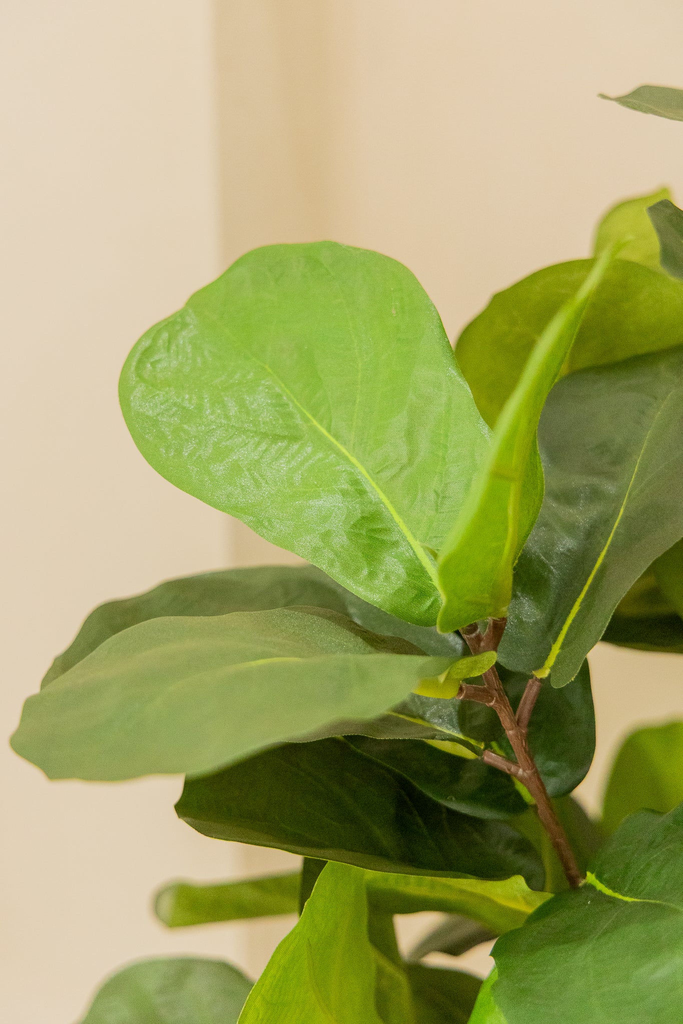 Ficus Kunstplant 120cm