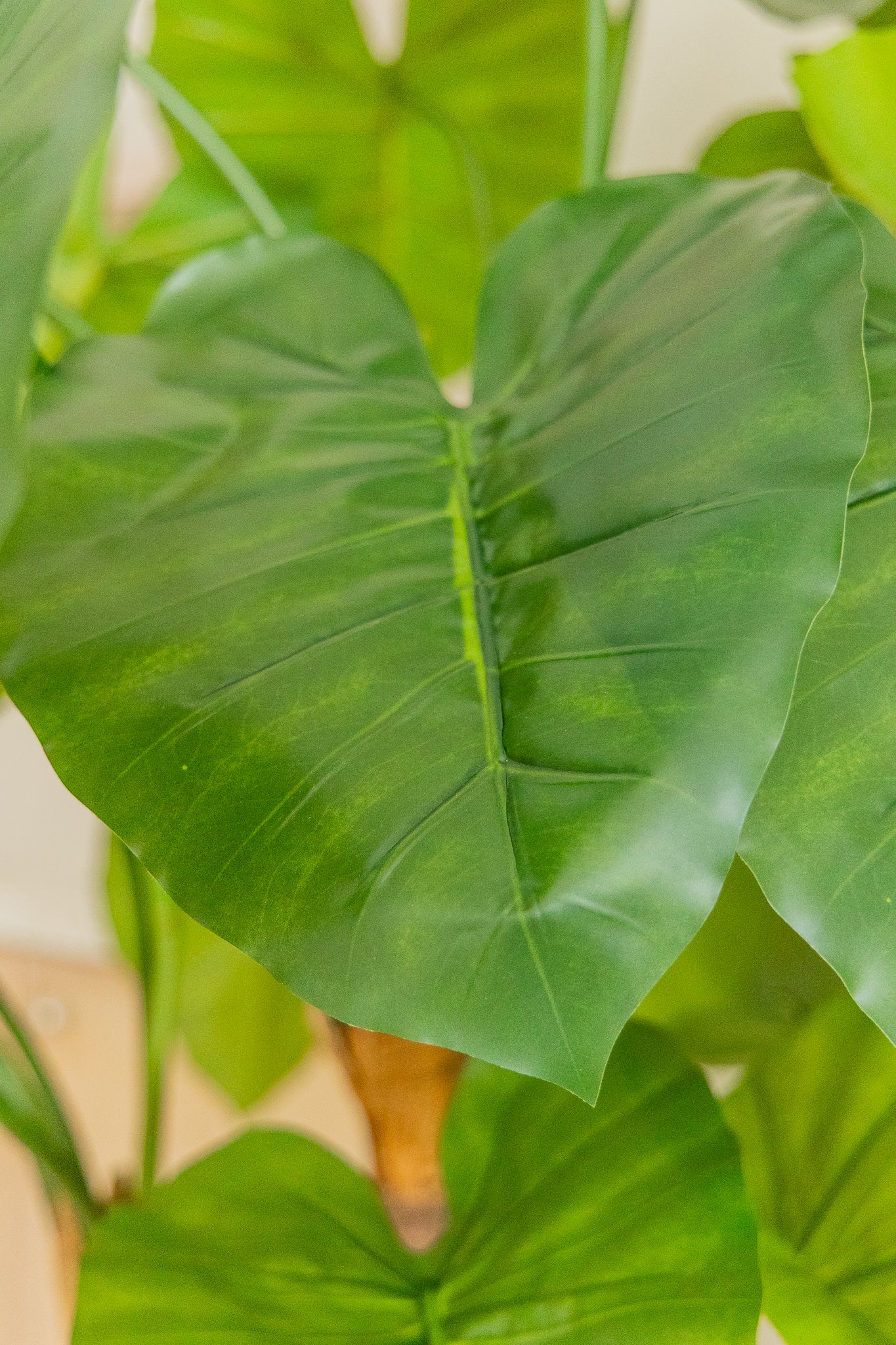 Alocasia Kunstplant 140cm