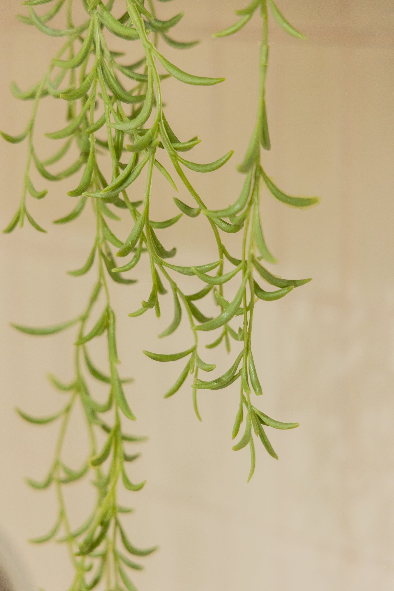 Rozemarijn Kunst hangplant 70cm