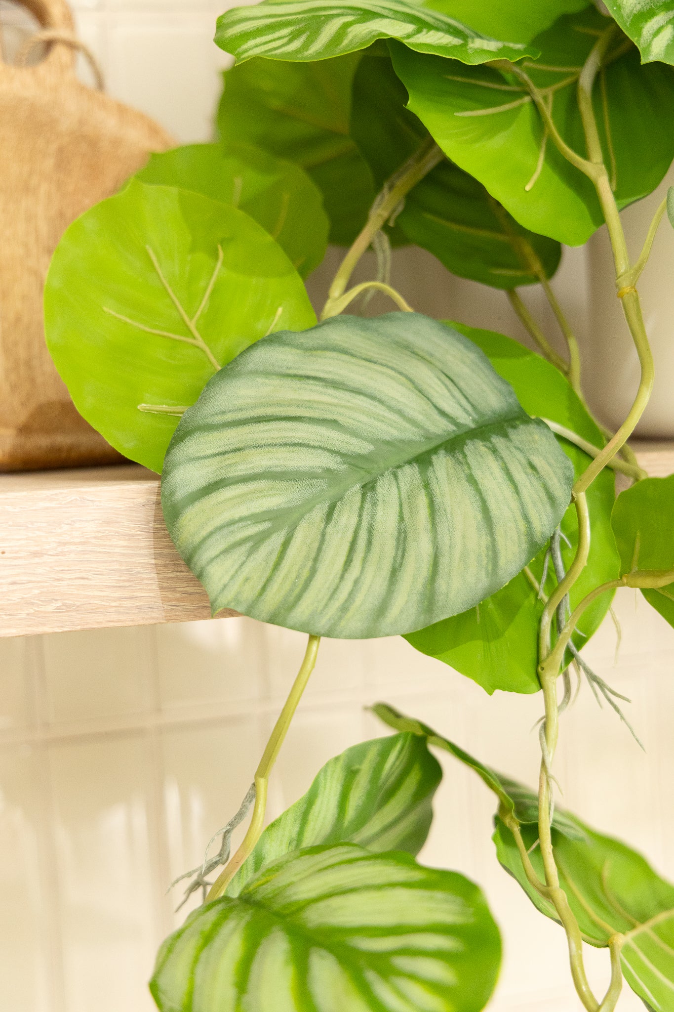 Calathea Kunst Hangplant 95cm