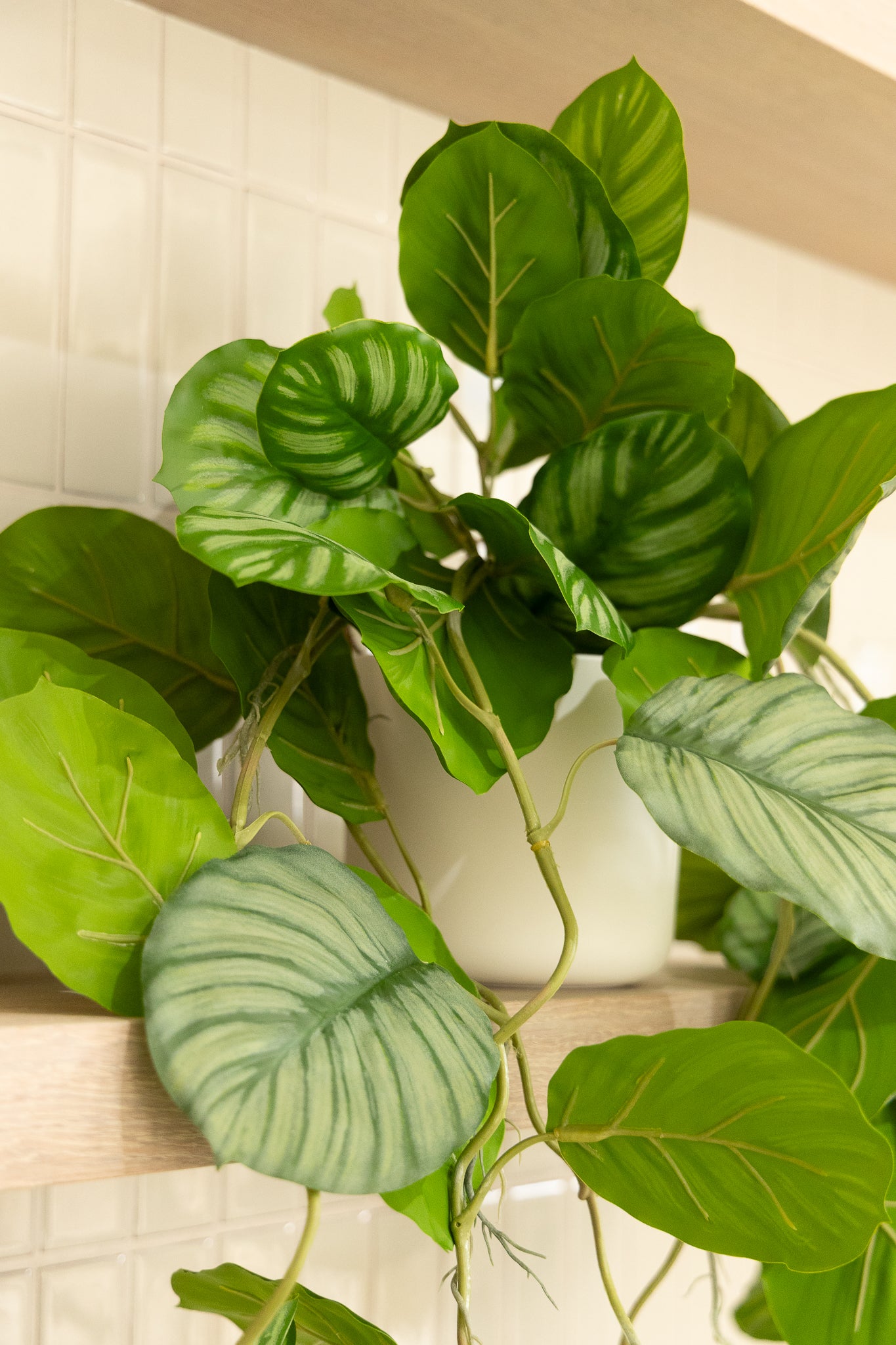 Calathea Kunst Hangplant 95cm