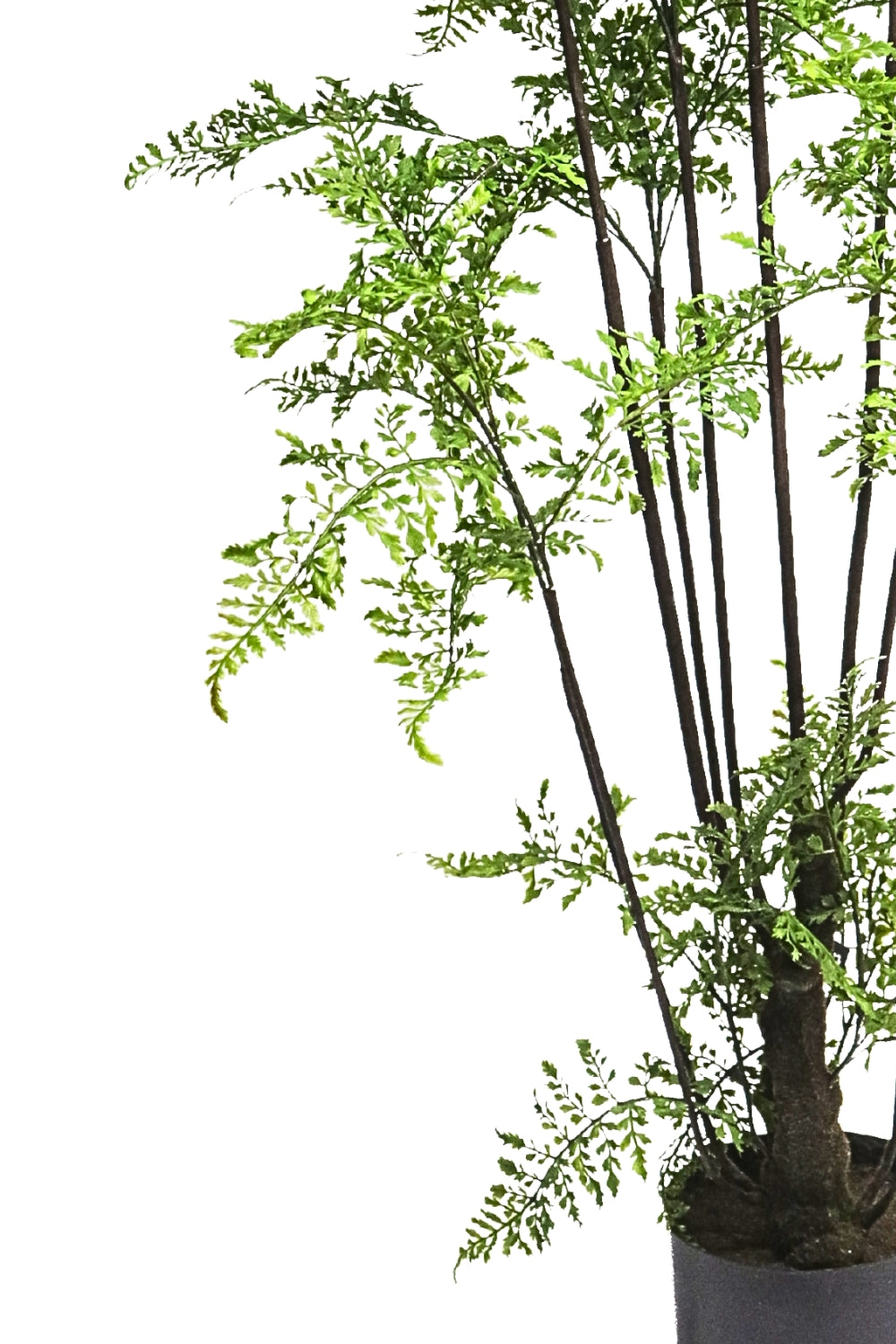 Kunst Ledervaren 150cm