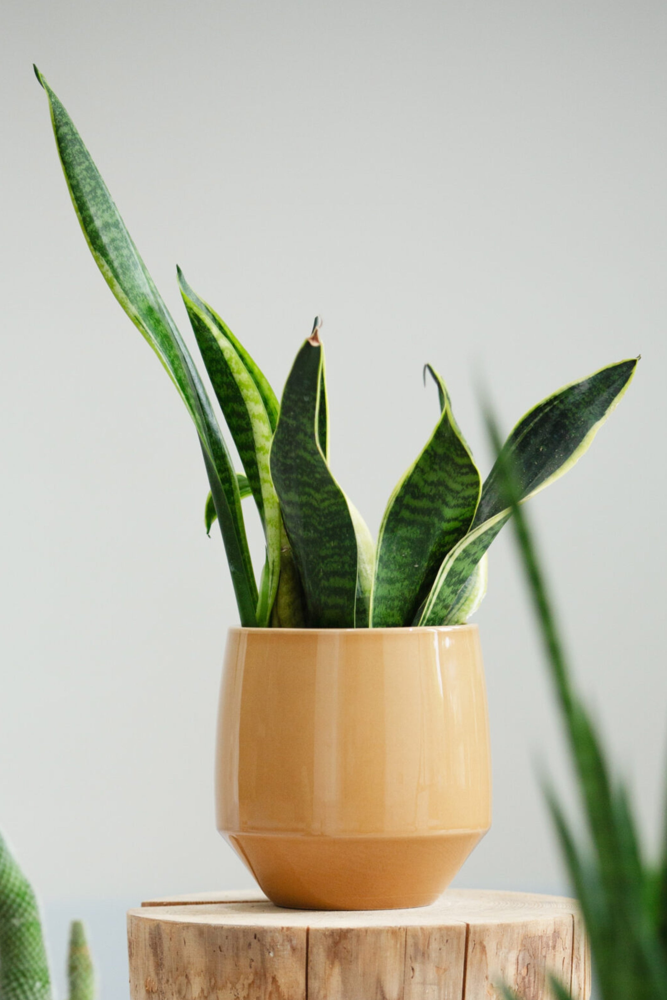 Bloempot Soni Okergeel 16x14,5cm