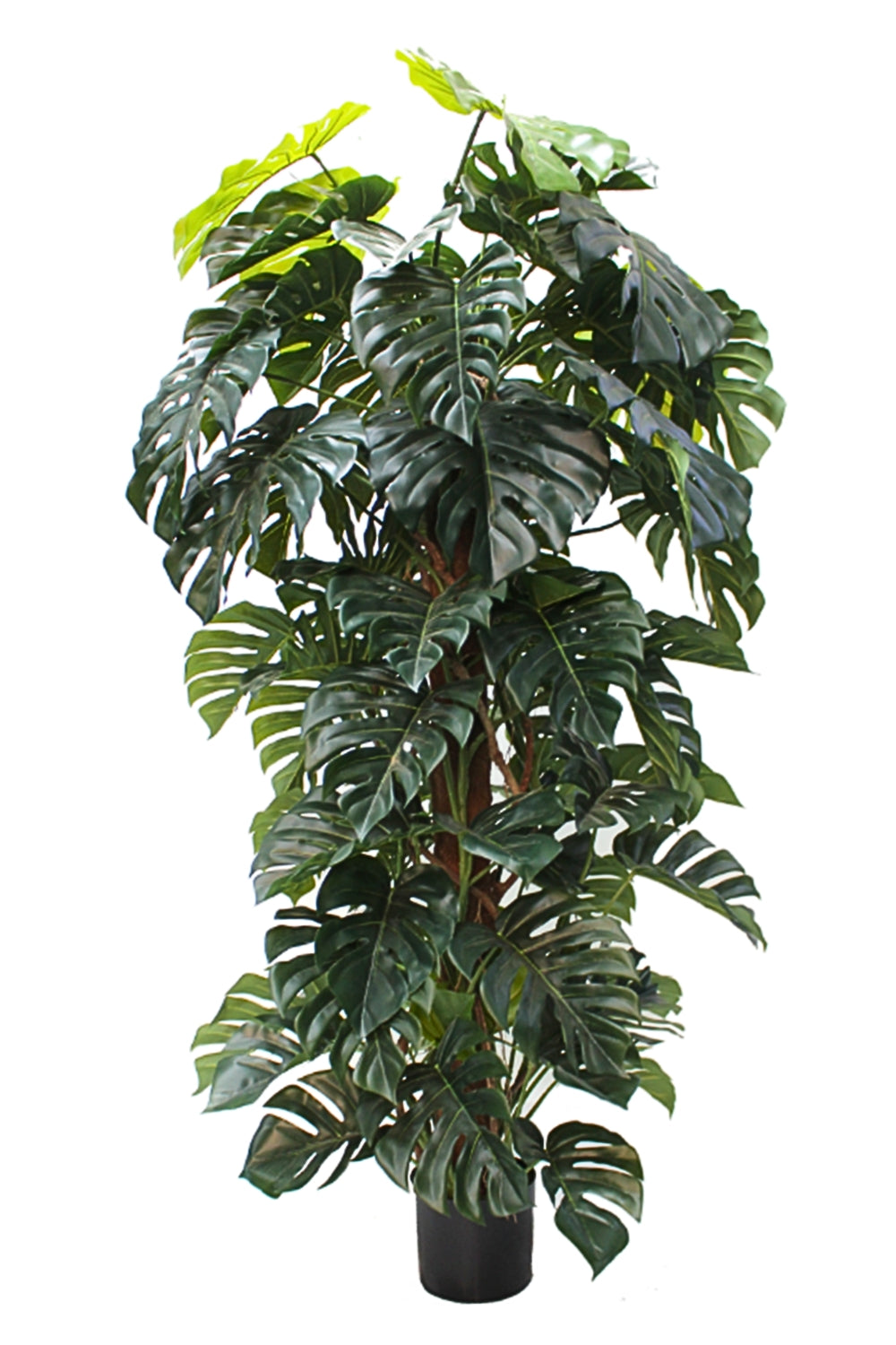 Pre-order Monstera Kunstplant 180cm (begin feb '26)