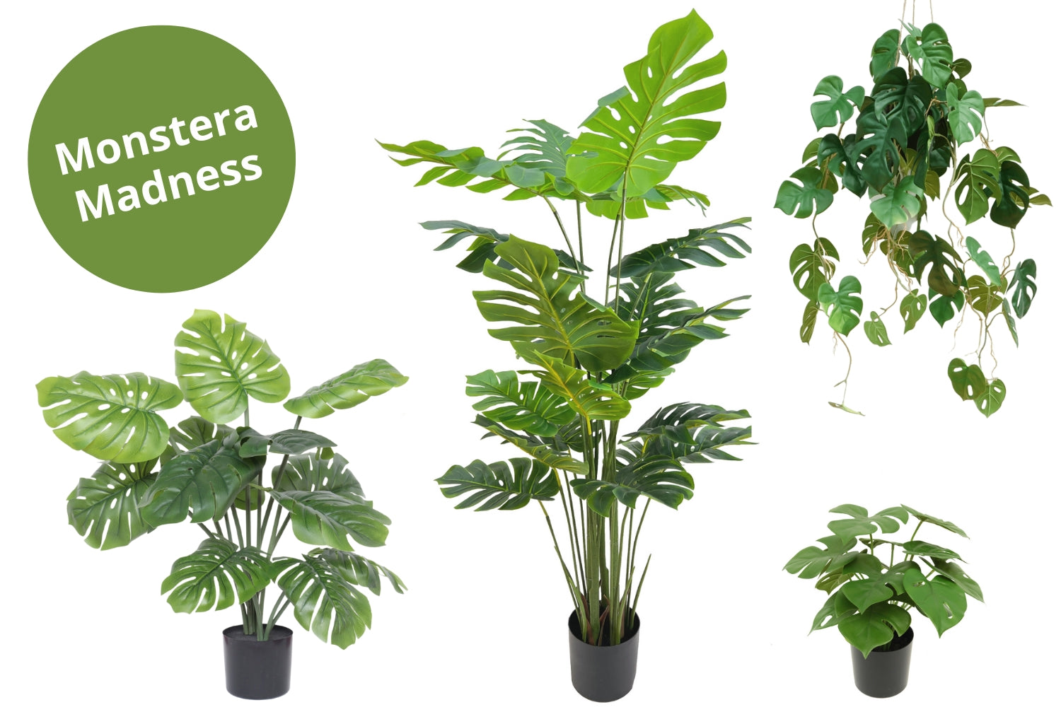 Monstera Madness - Kunstplantenpakket