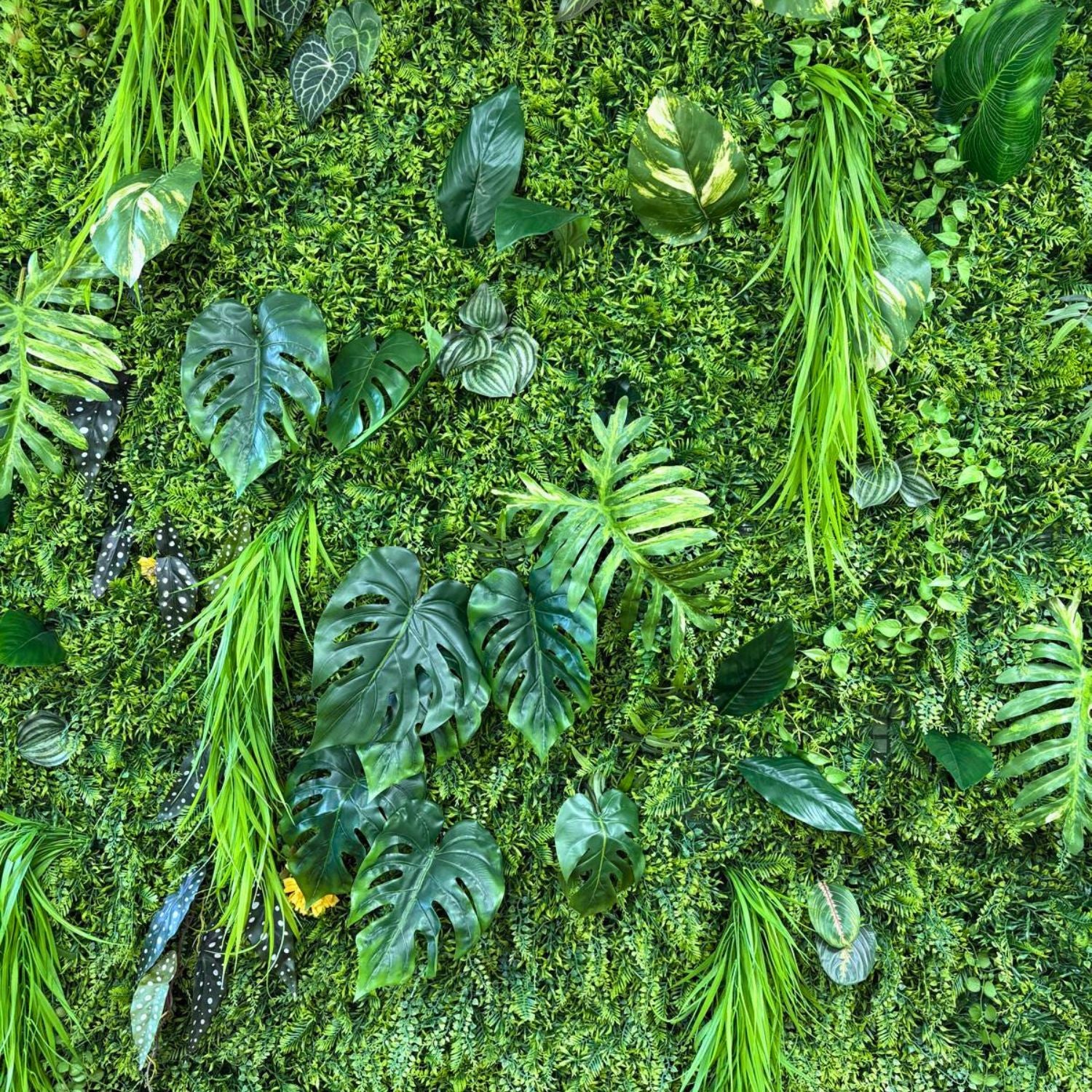 kunsthaag in kantoor