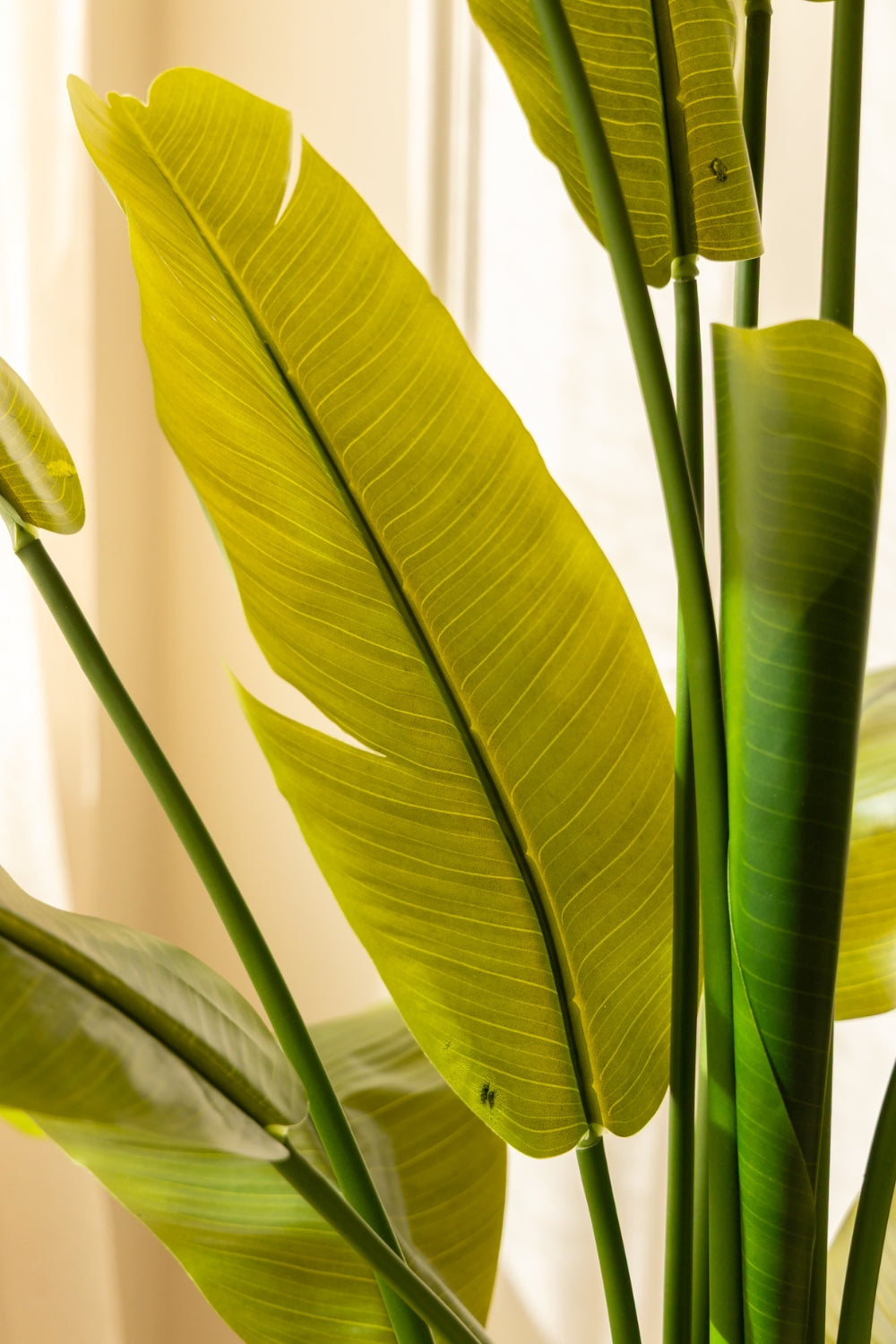 Strelitzia Kunstplant 180cm Deluxe