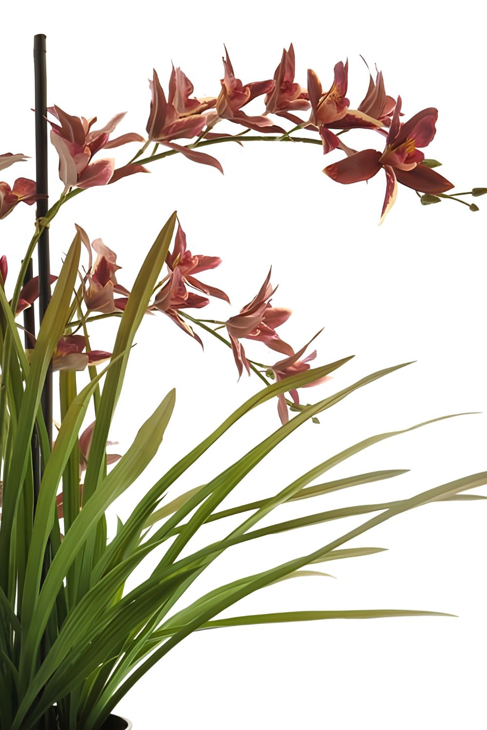 Meadow Orchidee kunstplant Rood 70cm