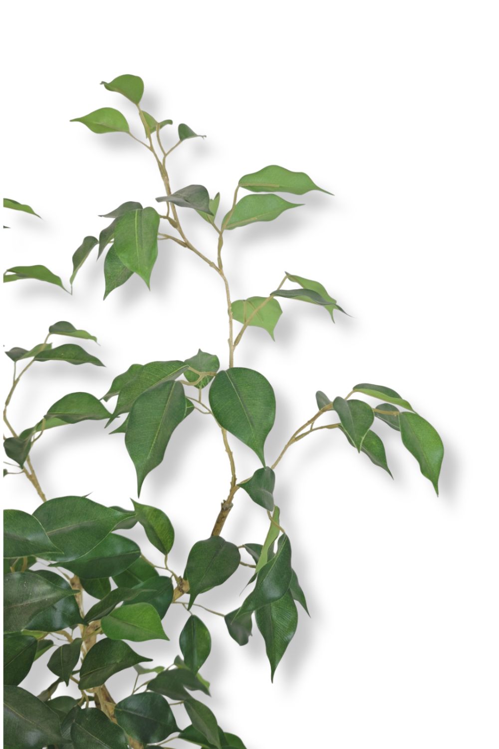 Pre-order Ficus Kunstplant 180cm Deluxe