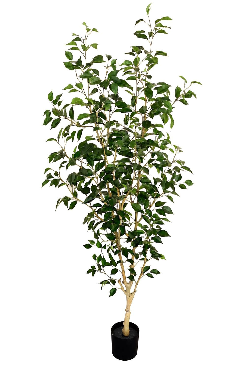 Pre-order Ficus Kunstplant 180cm Deluxe