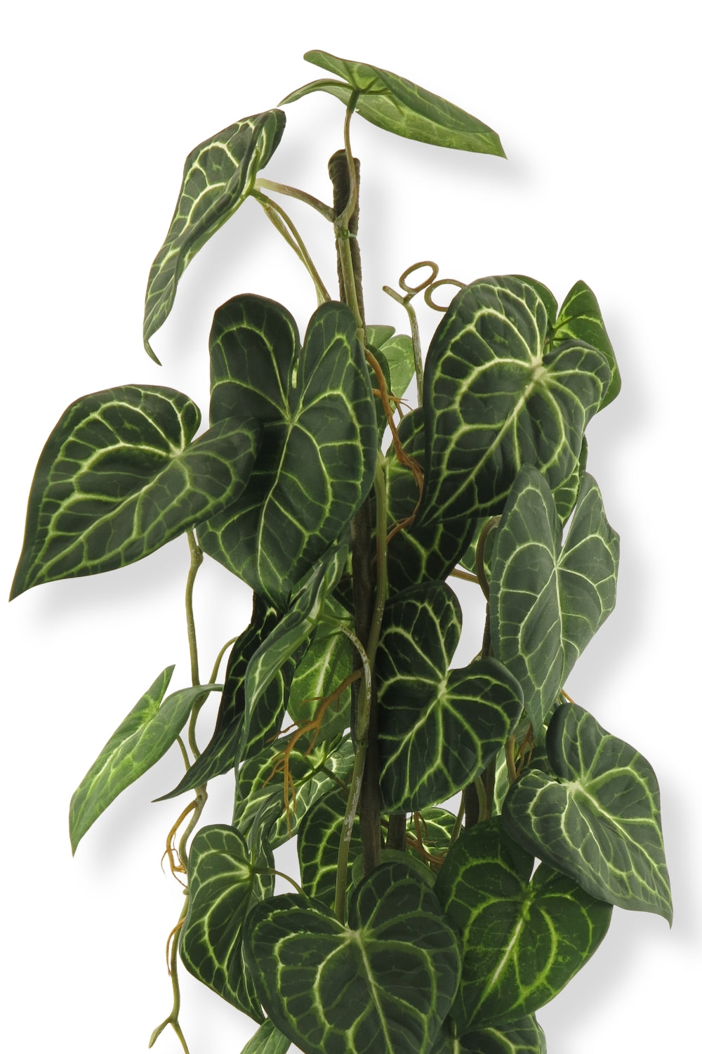 Anthurium Alba Kunstplant 80cm