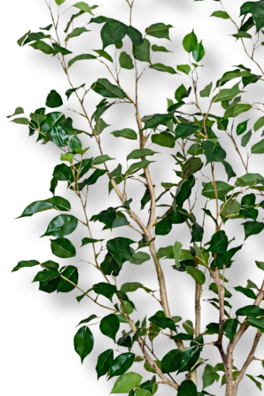 Ficus Kunstplant 150cm Deluxe