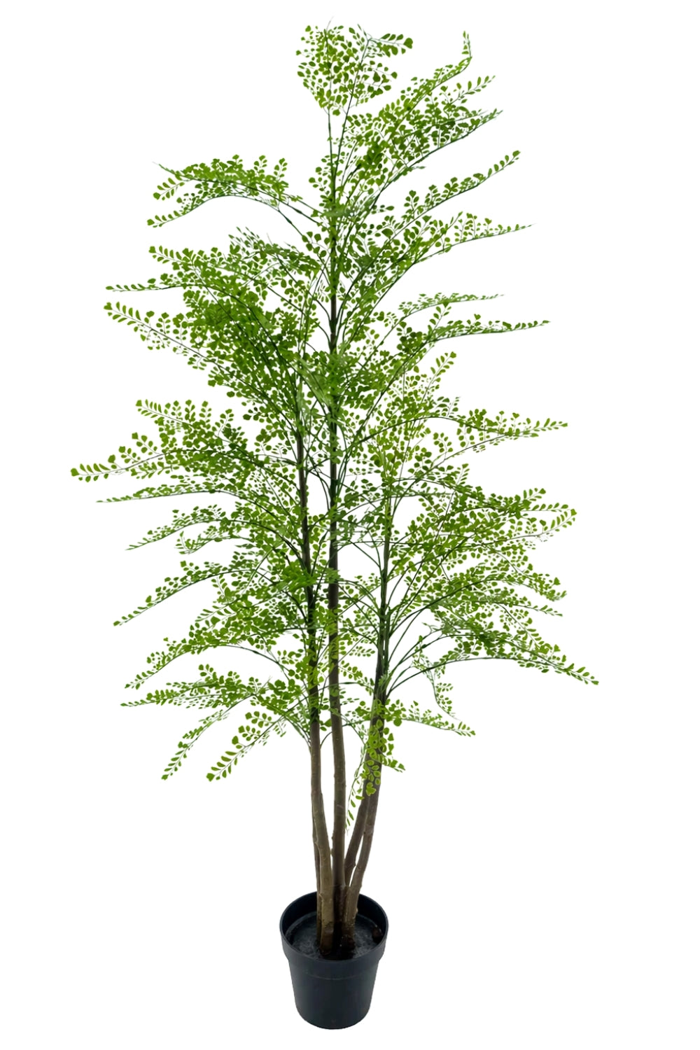 Maidenhair Varen Kunstplant 180cm