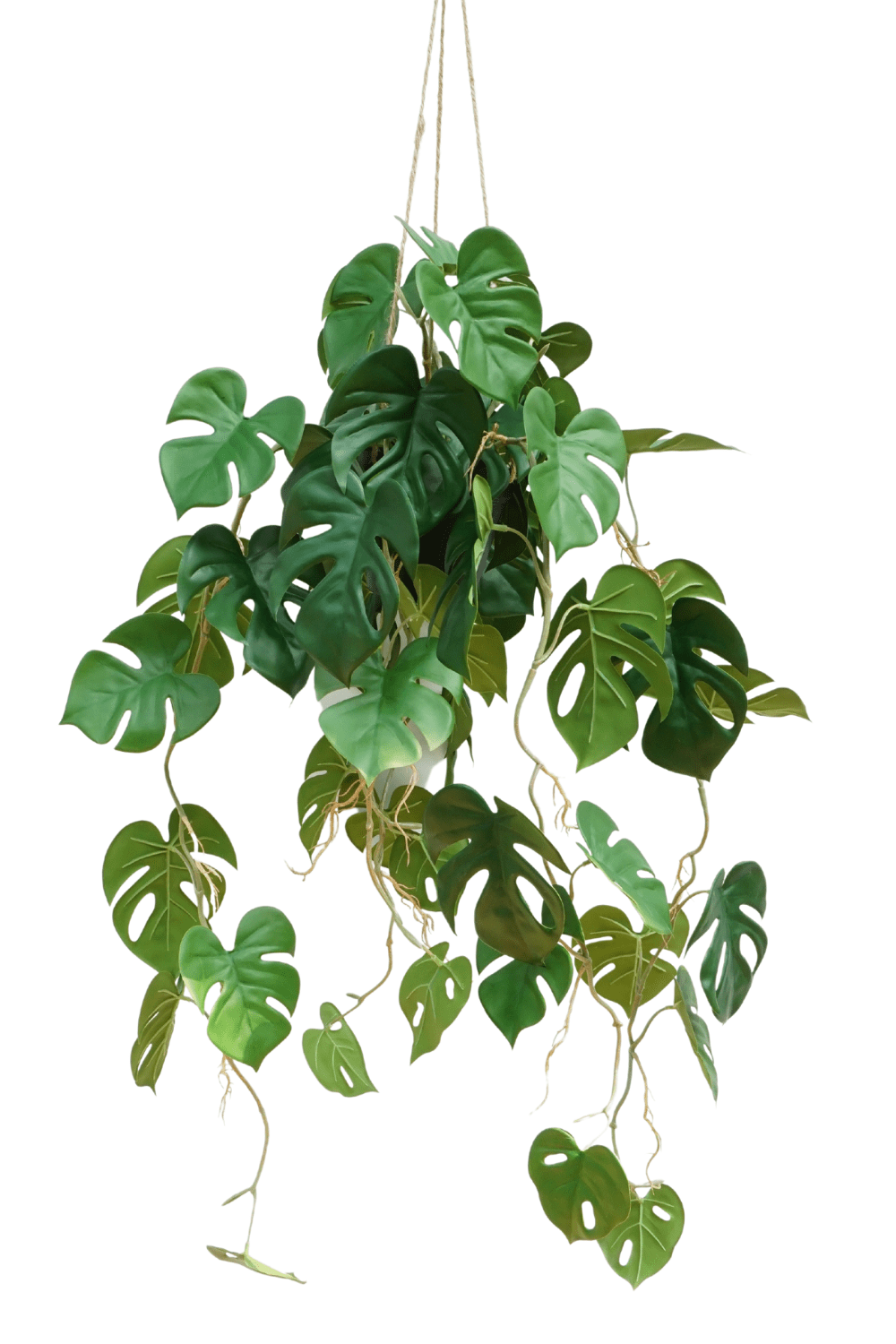 Monstera Madness - Kunstplantenpakket