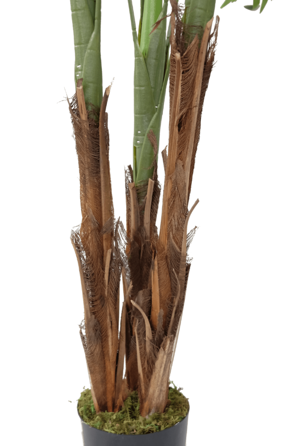 stam Kunstpalm 210cm