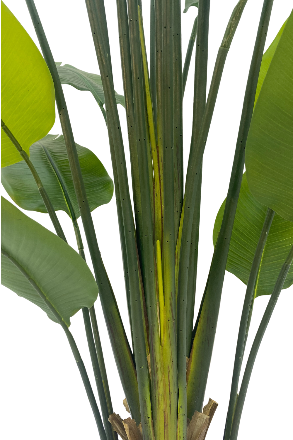 stam strelitzia kunstplant 210cm